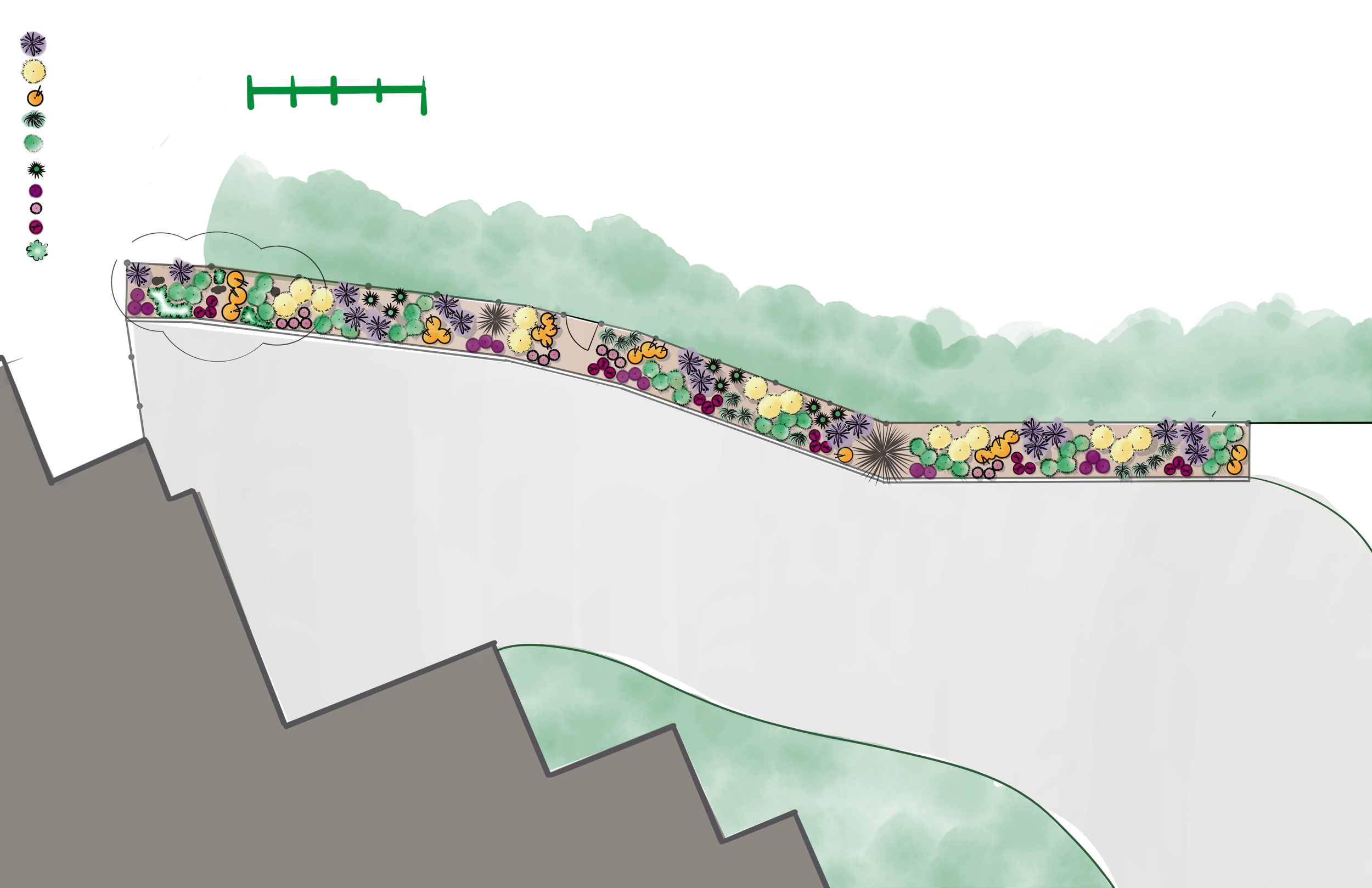 A landscaped area with diverse plants, flowers, and shrubs along a sloped terrain, adjacent to a pathway or road.