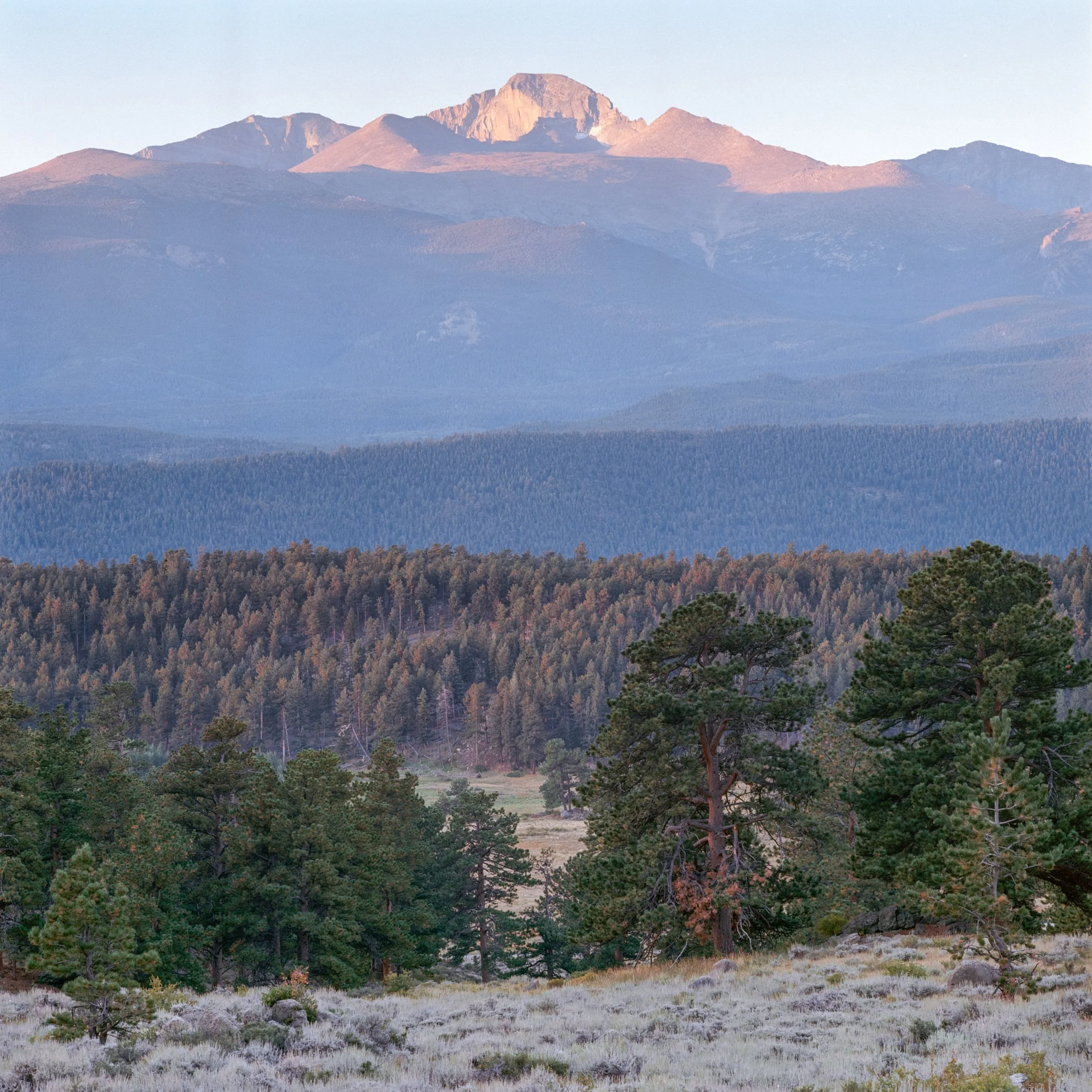 RDP - RMNP Clearing - Digital.jpg