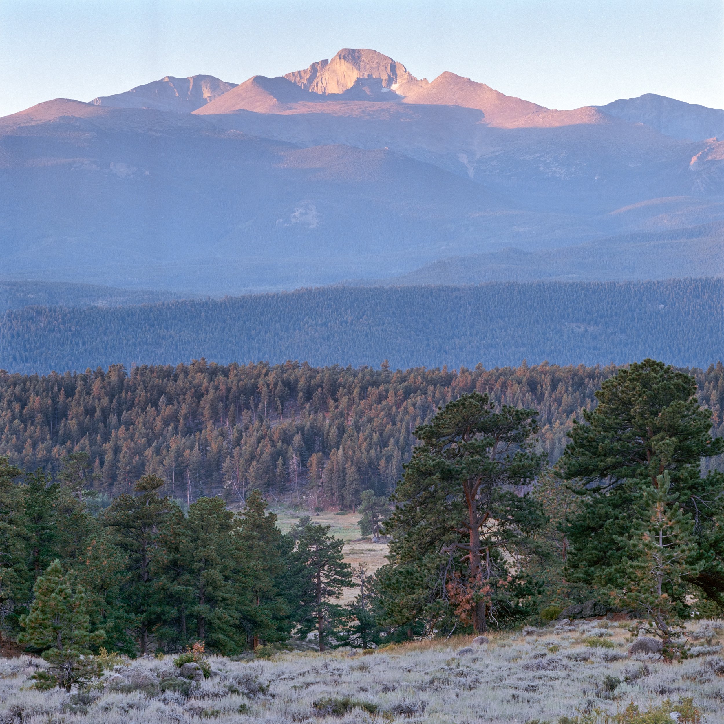 RDP - RMNP Overlook - Digital.jpg