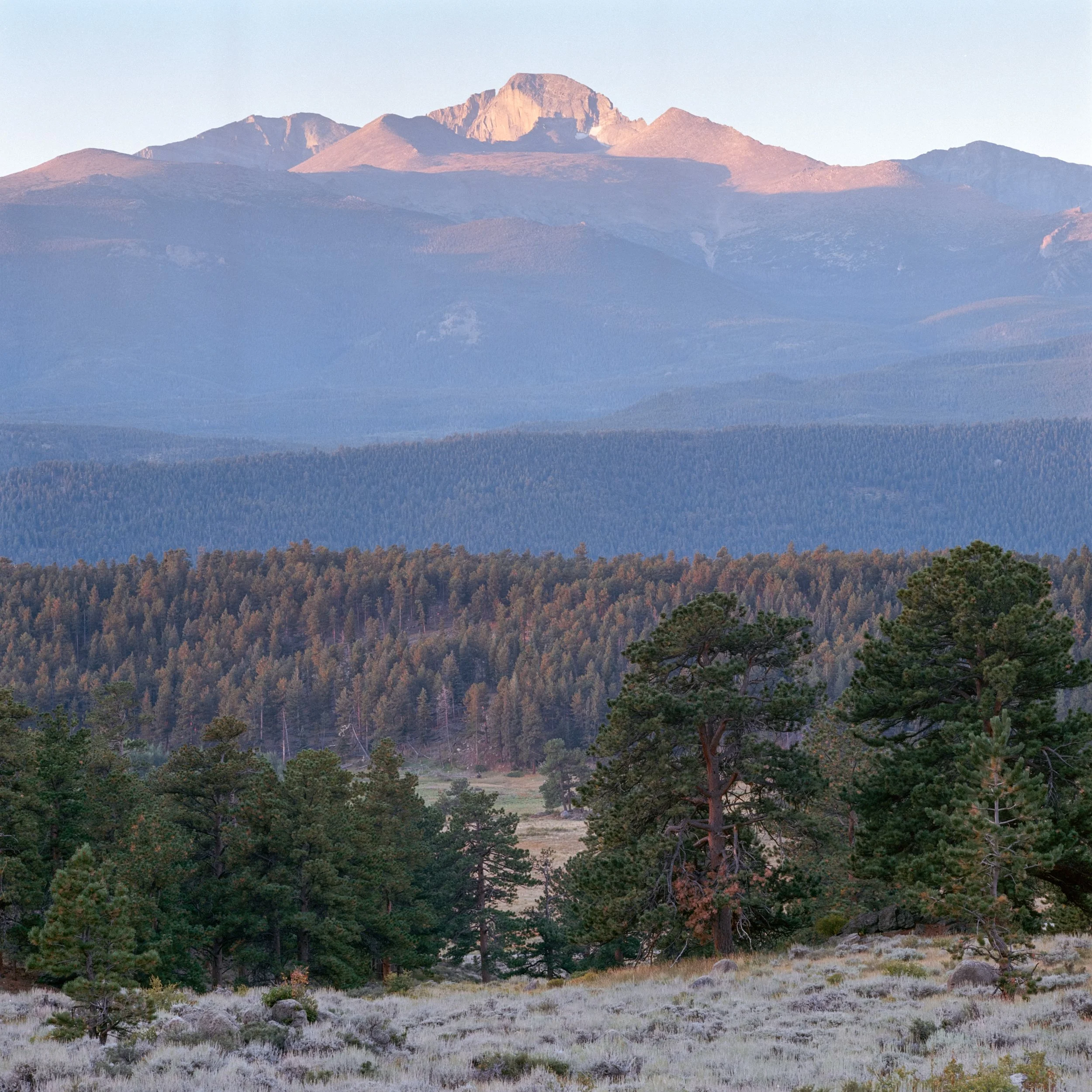 Mountain landscape with forests and trees in foreground