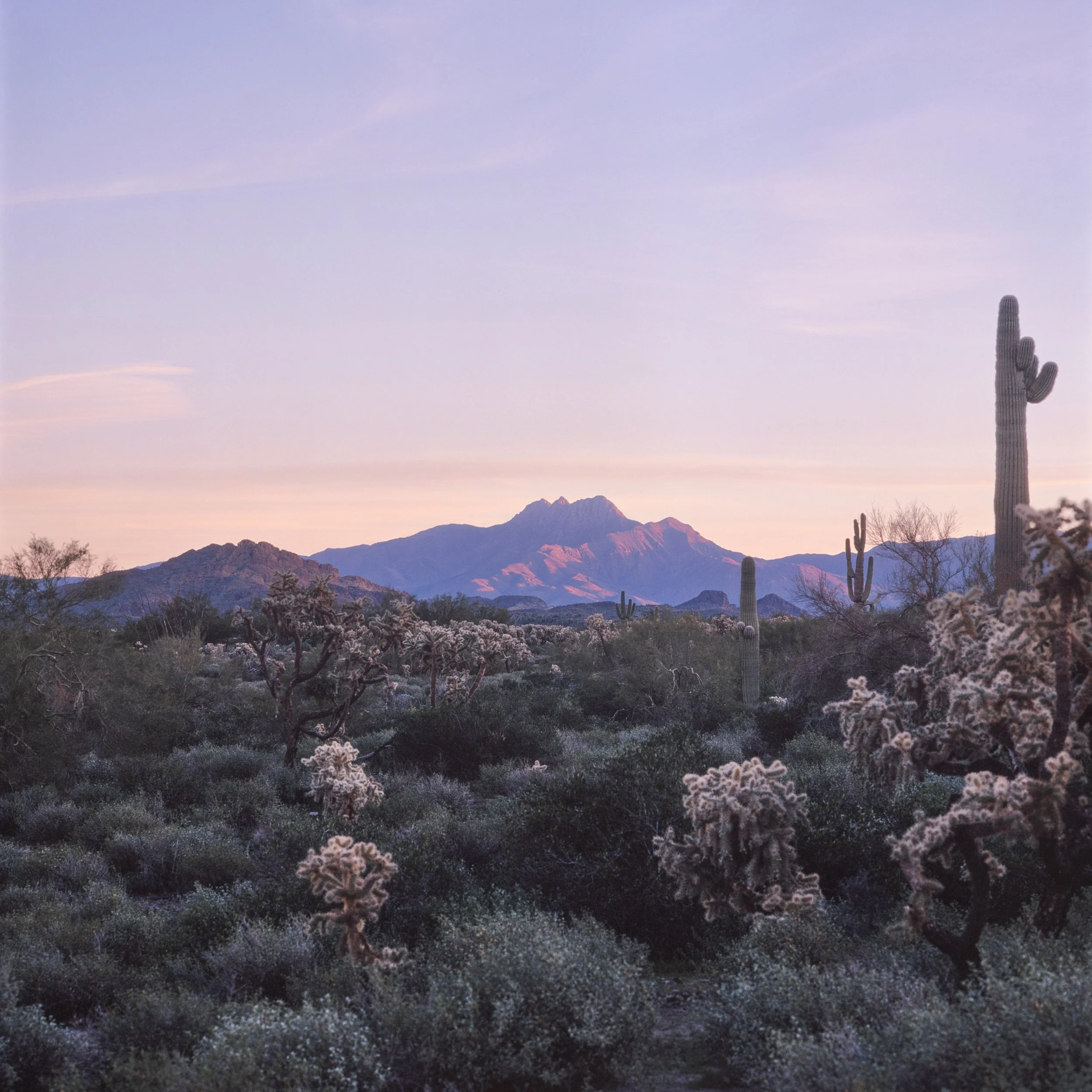 Ryan Duke - Four Peaks.jpg