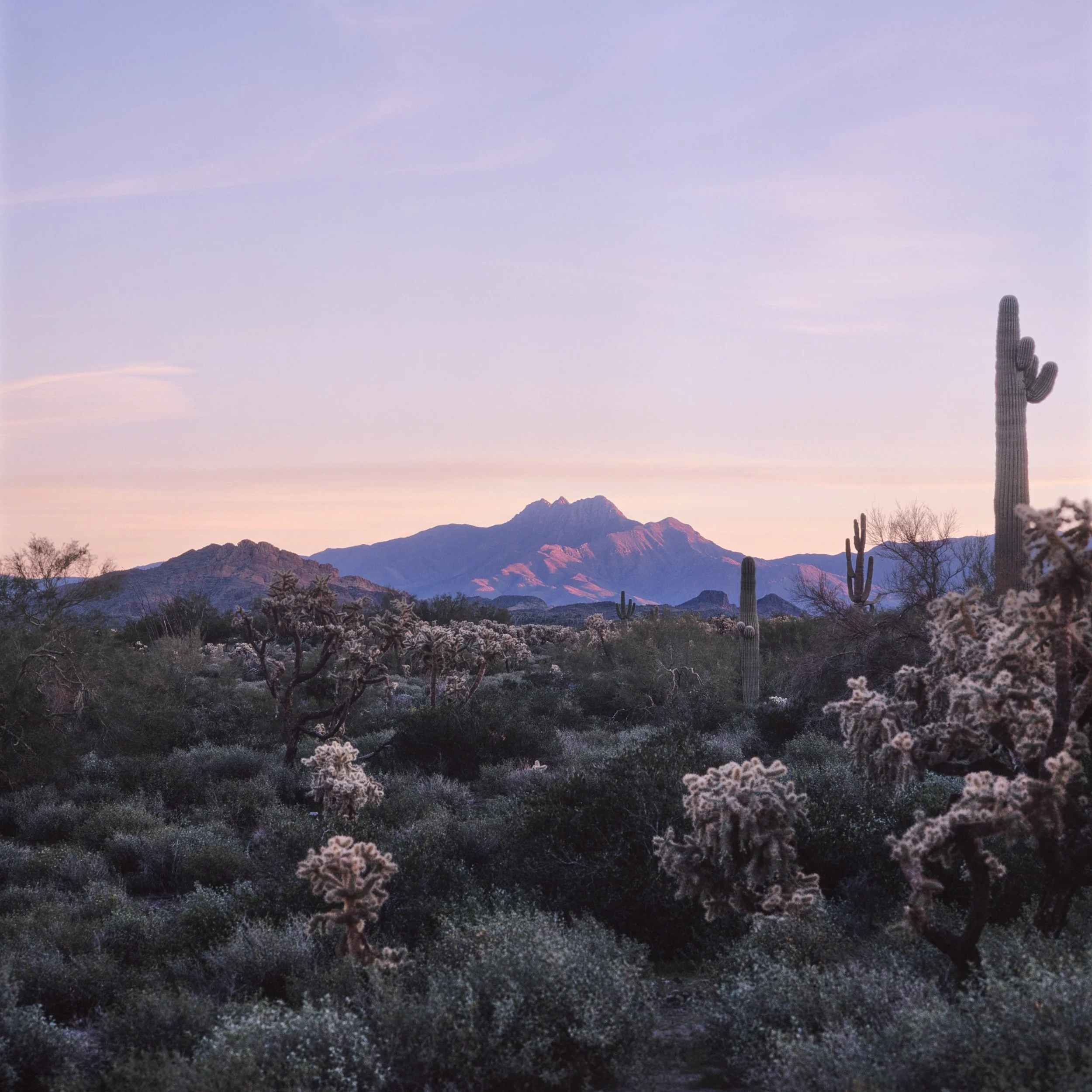 RDP - Four Peaks - Digital.jpg