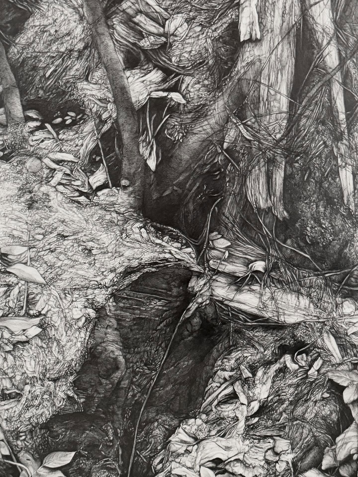 Chaos II - graphite on paper - part of a diptych - 14&rdquo;x22&rdquo;
.
.
.
.
#drawing #pencildrawing #artist #artsistofinstagram #naturedrawing