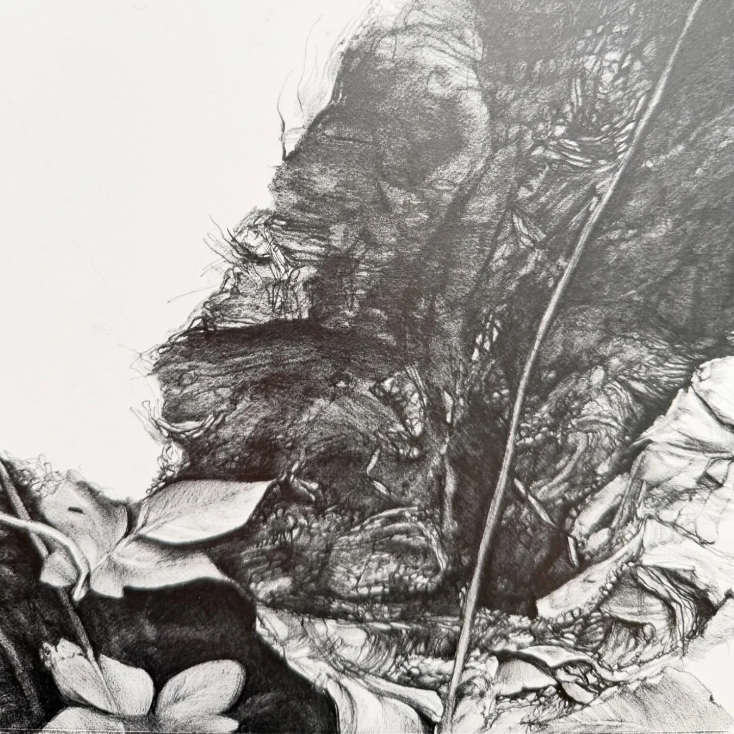 back to the drawing board&hellip;.
.
.
.
#drawing #drawings #drawingsofinstagram #artist #artistsofinsta #artsoninstagram