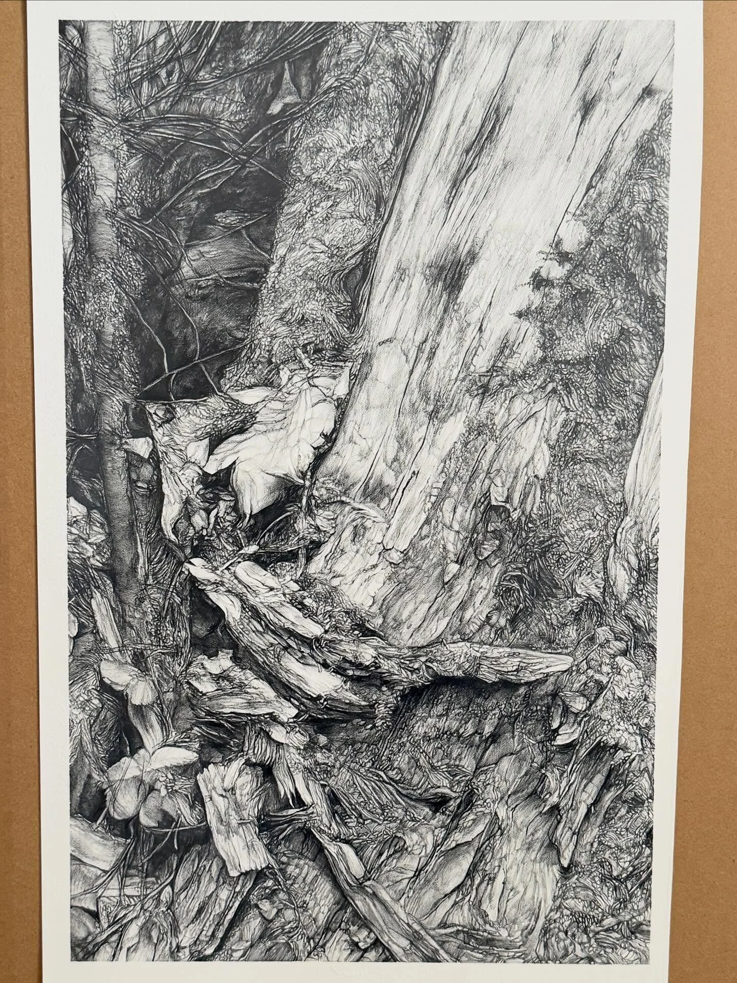It can be tricky to "call it" sometimes, and it's tempting (for me) to overwork a drawing... but I think this one is signed / sealed / delivered / done 😅

Chaos in the Cascades (graphite on paper, 14"x22"), from a walk in the woo