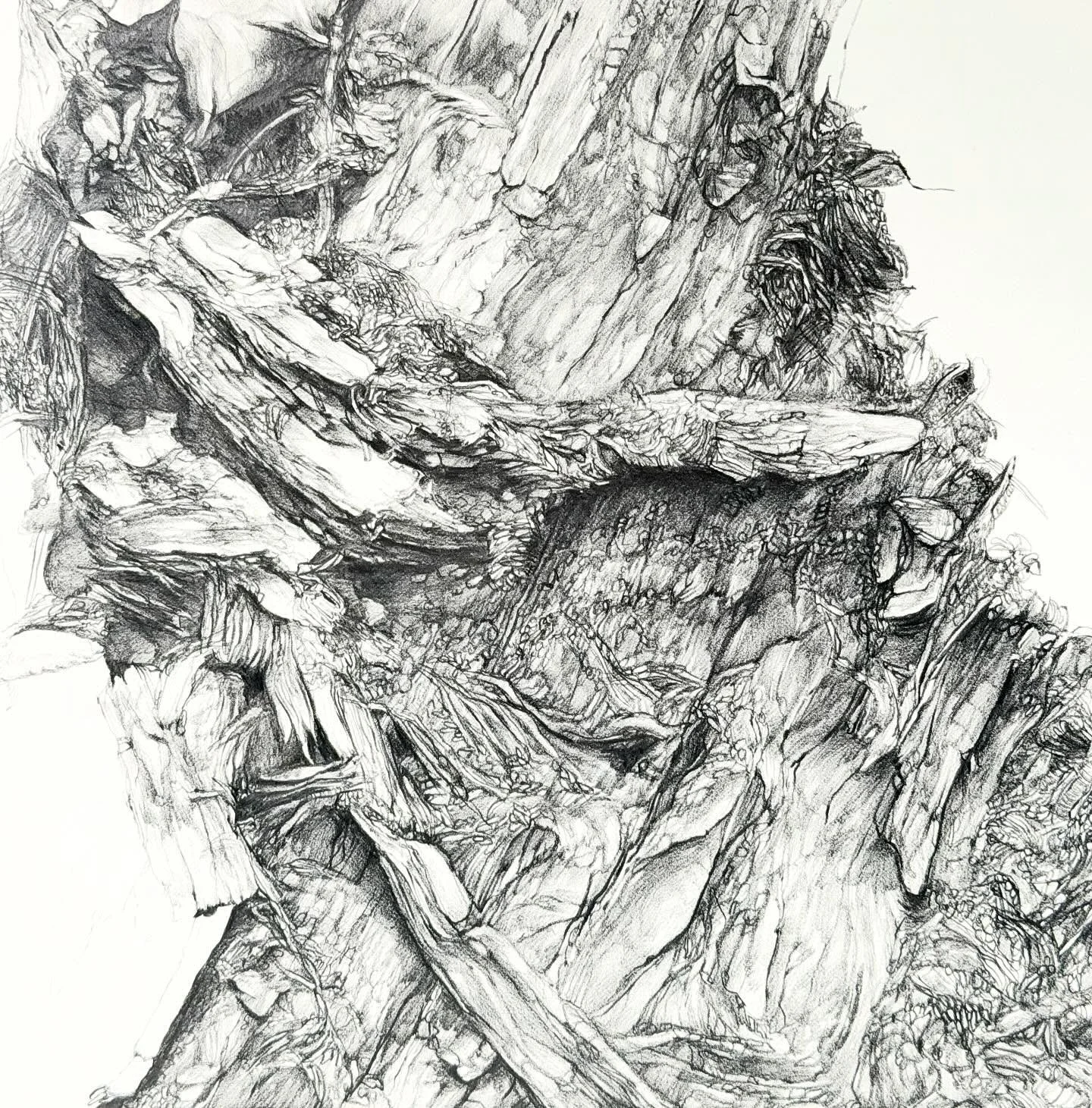 progress&hellip;.
.
.
.
.
.
#artist #artistofinstagram #drawing #drawings #drawingsofinstagram