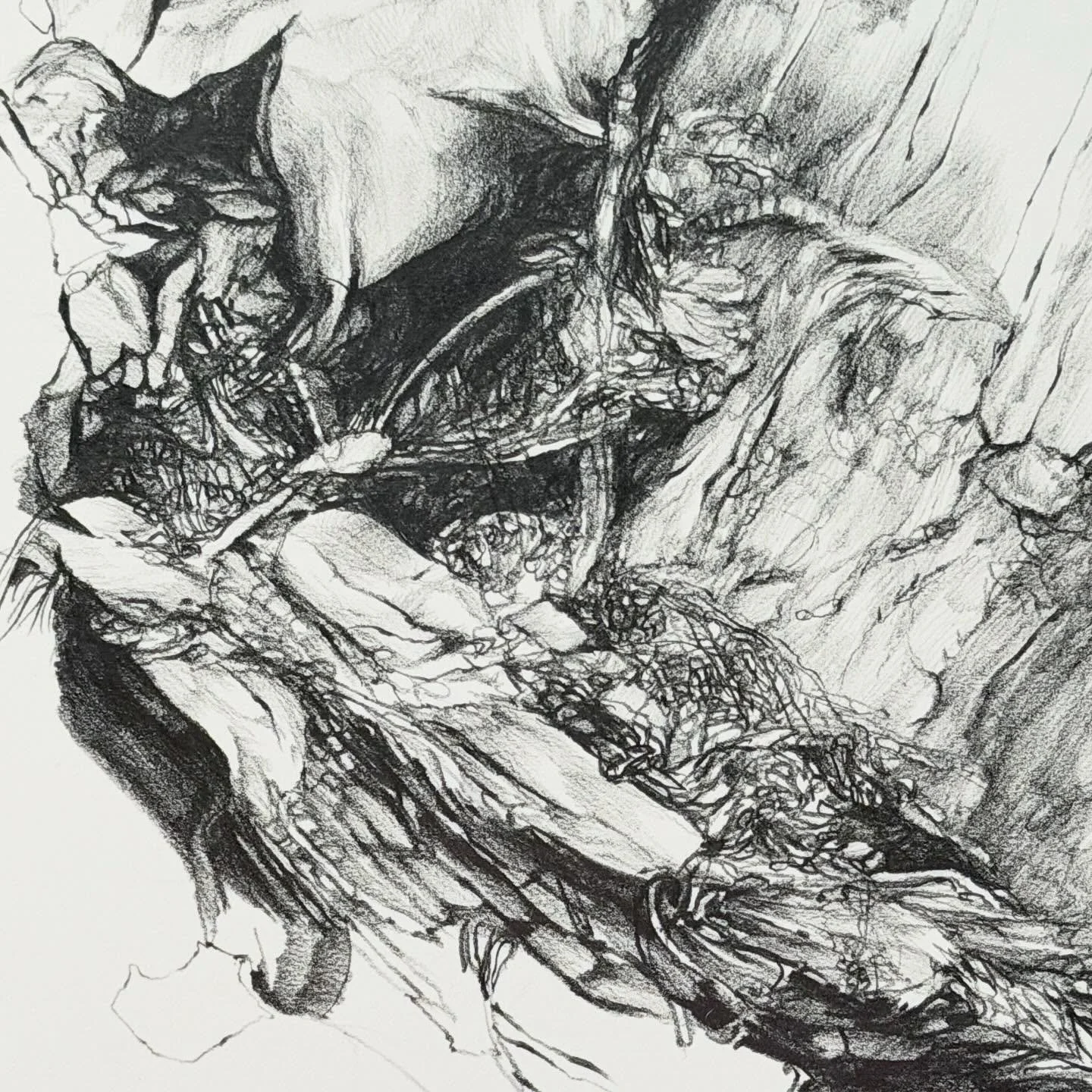 staying on schedule over the holiday. Happy Thanksgiving 🦃🍁