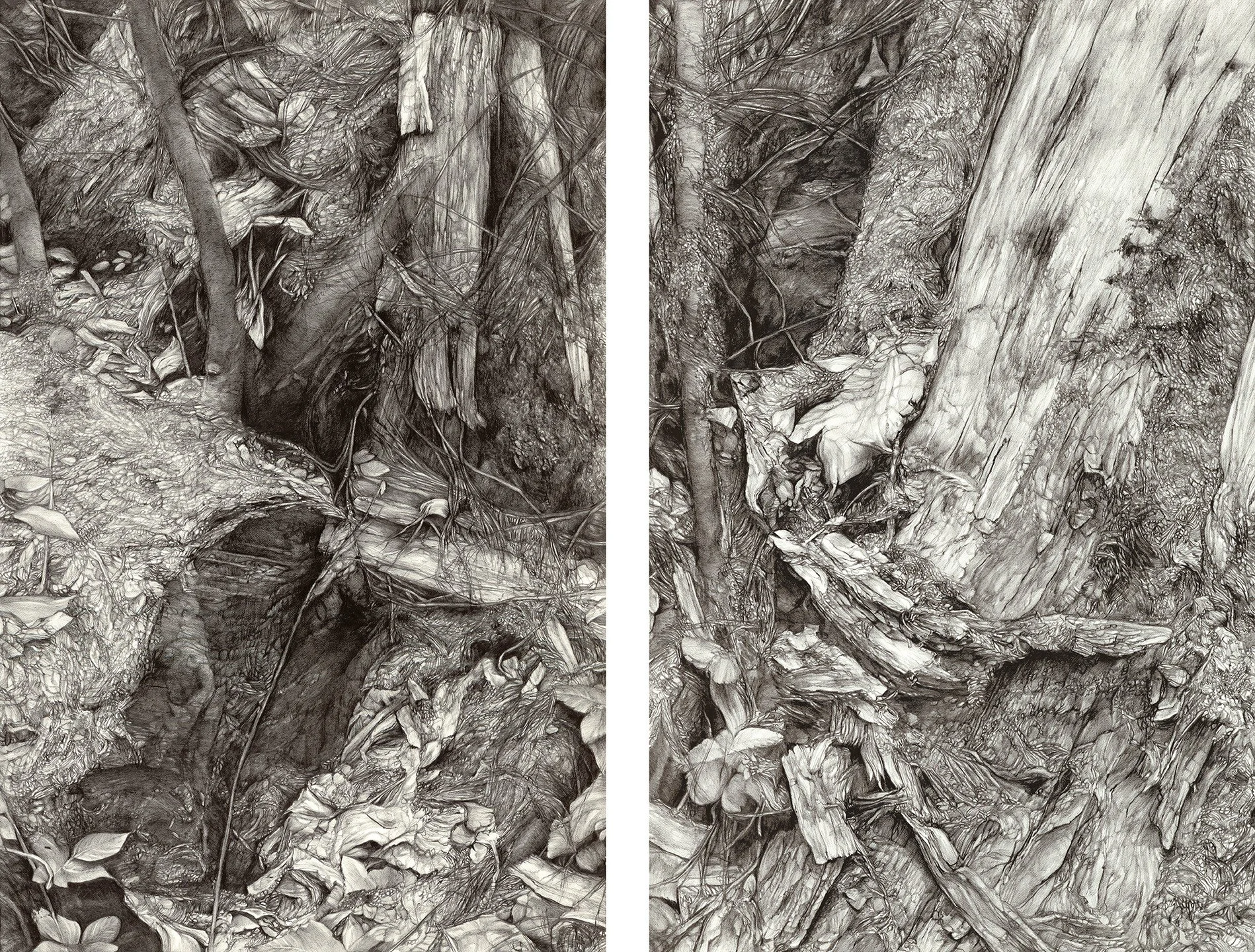 It's a diptych! Really happy with how these turned out... 😅

Chaos in the Cascades I + II; graphite on paper; 22x30"

#artist #artistsofinstagram #pencildrawing #pencildrawingsoninstagram