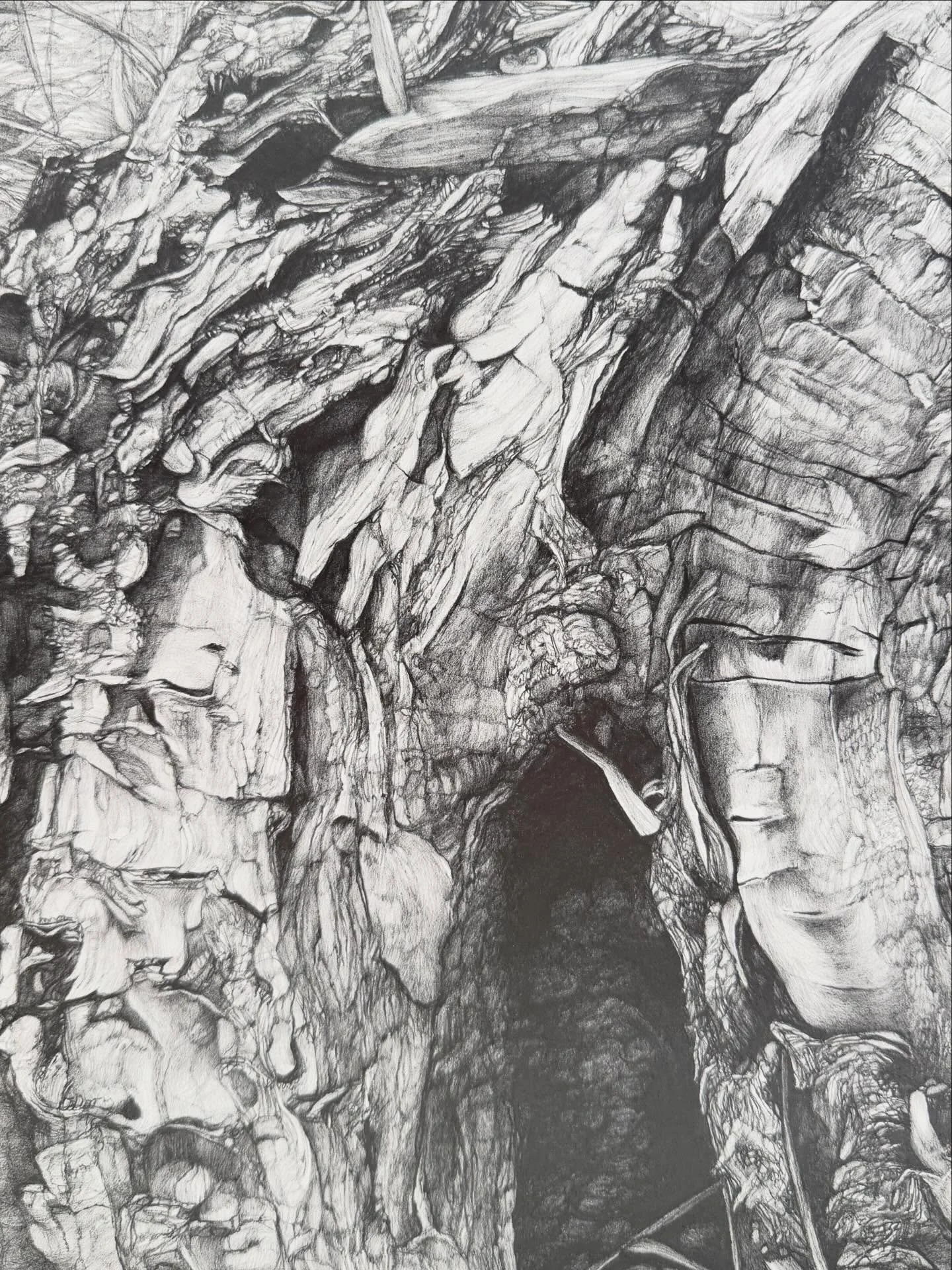 Waneka Walkabout I - 11x14&rdquo; - graphite on paper