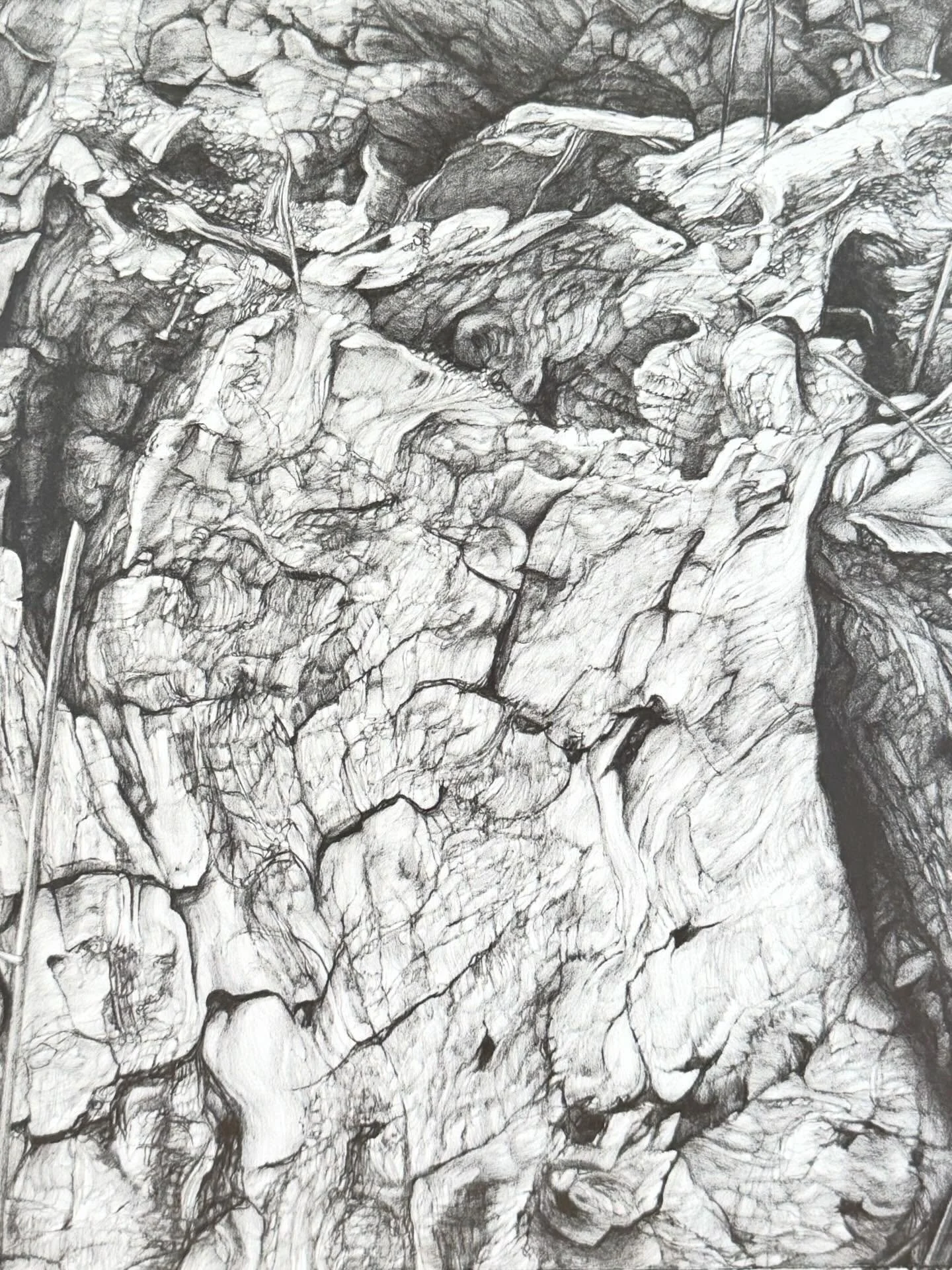 New work: Walling Waneka II: 11x14&rdquo;; graphite on paper