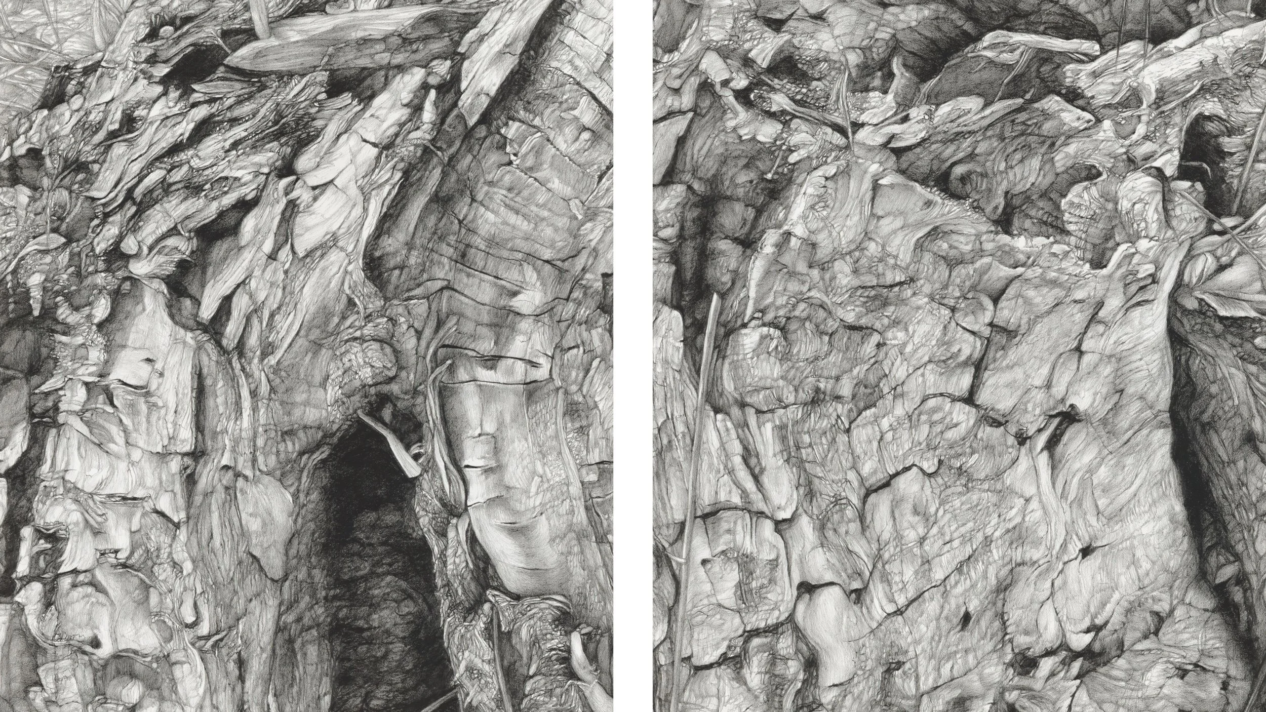 Another diptych: Walking Waneka I + II - 11" x 14" each. Graphite on paper.