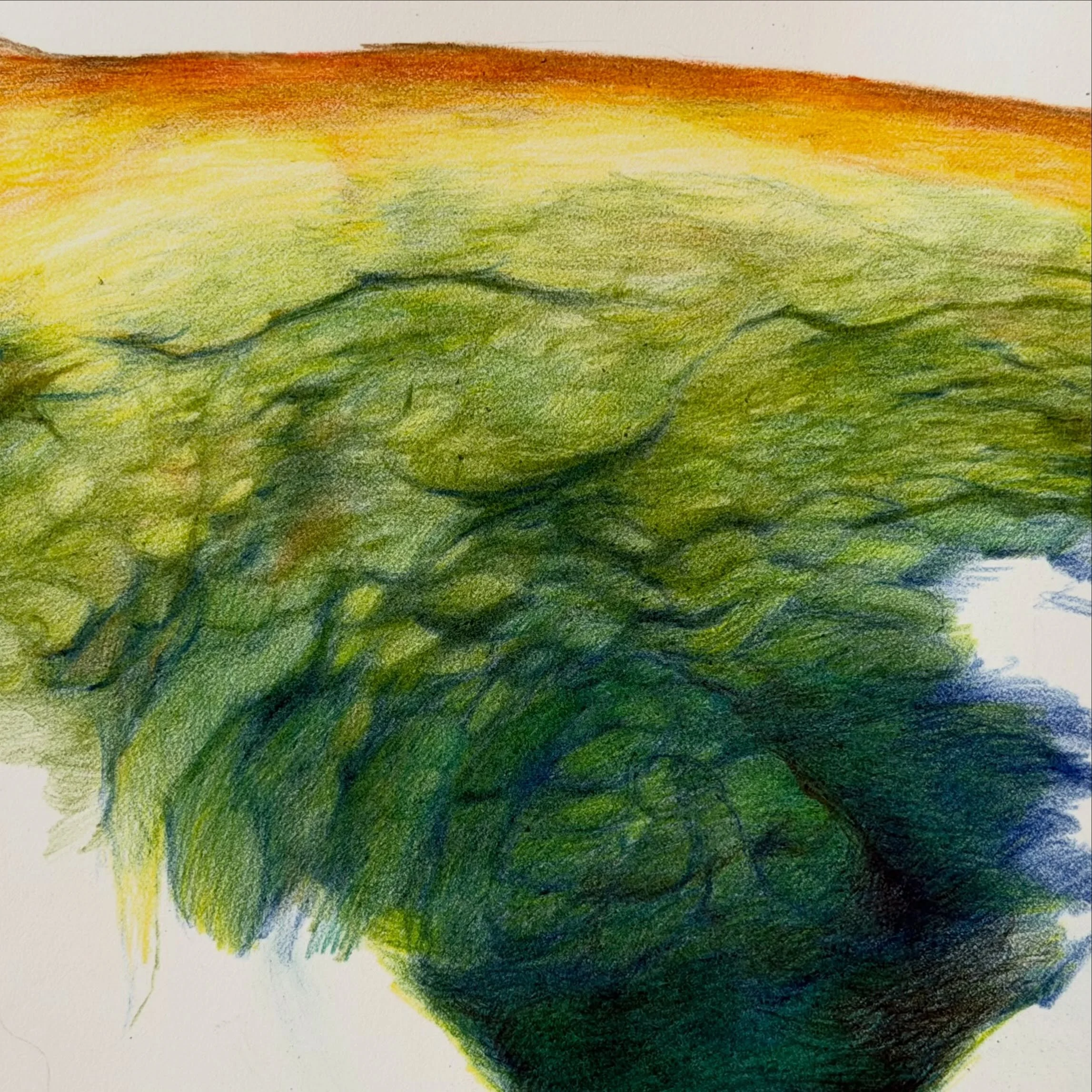 👀 new work in FULL COLOR&hellip;. coming soon! #drawing #prismacolor #coloredpencil