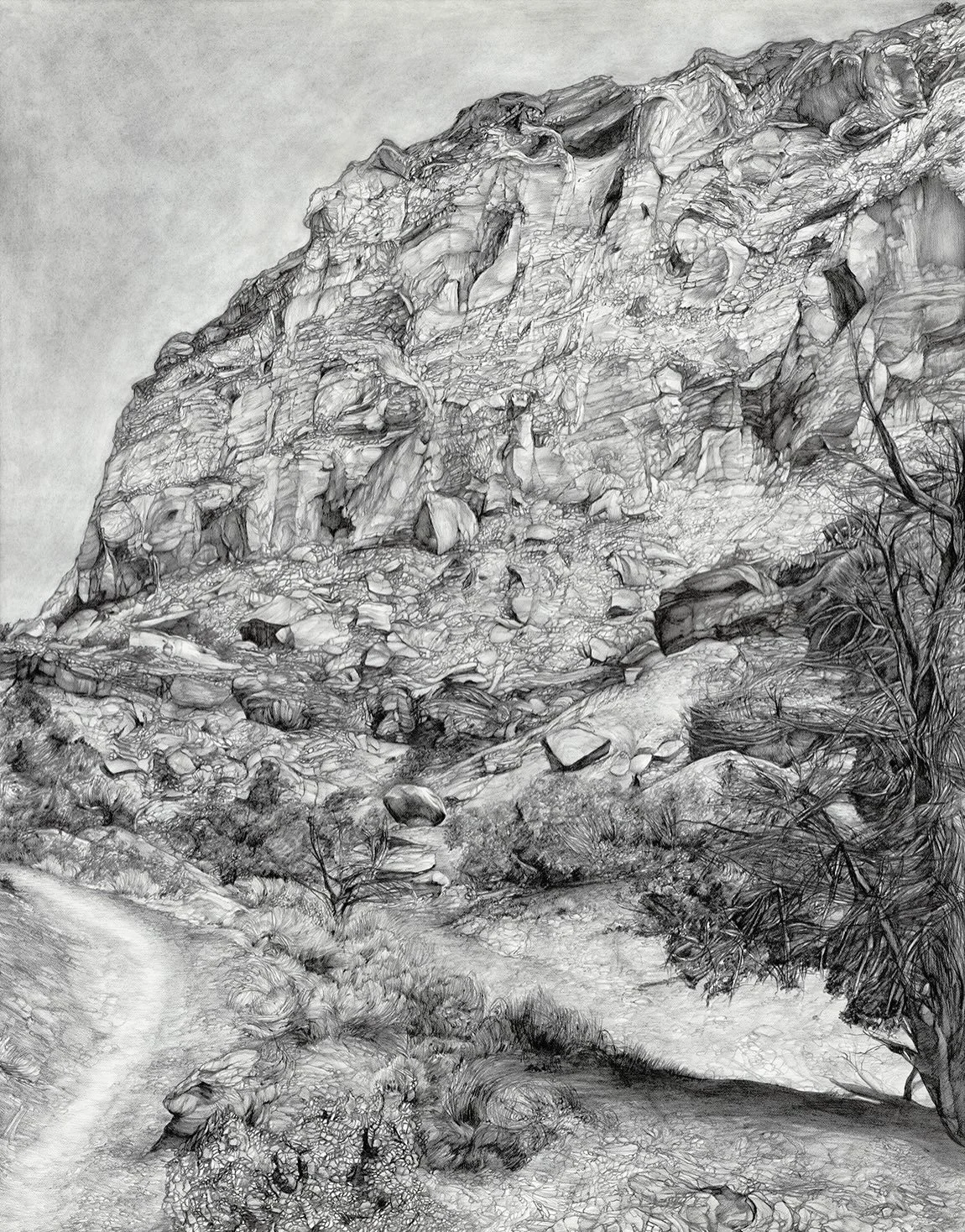 I&rsquo;m pleased to share that these beauties have been selected as finalists in &ldquo;The Best of Drawing&rdquo; issue - published annually by @artistsmagazine - coming out this winter. This is my third time being selected for this issue, and a lo