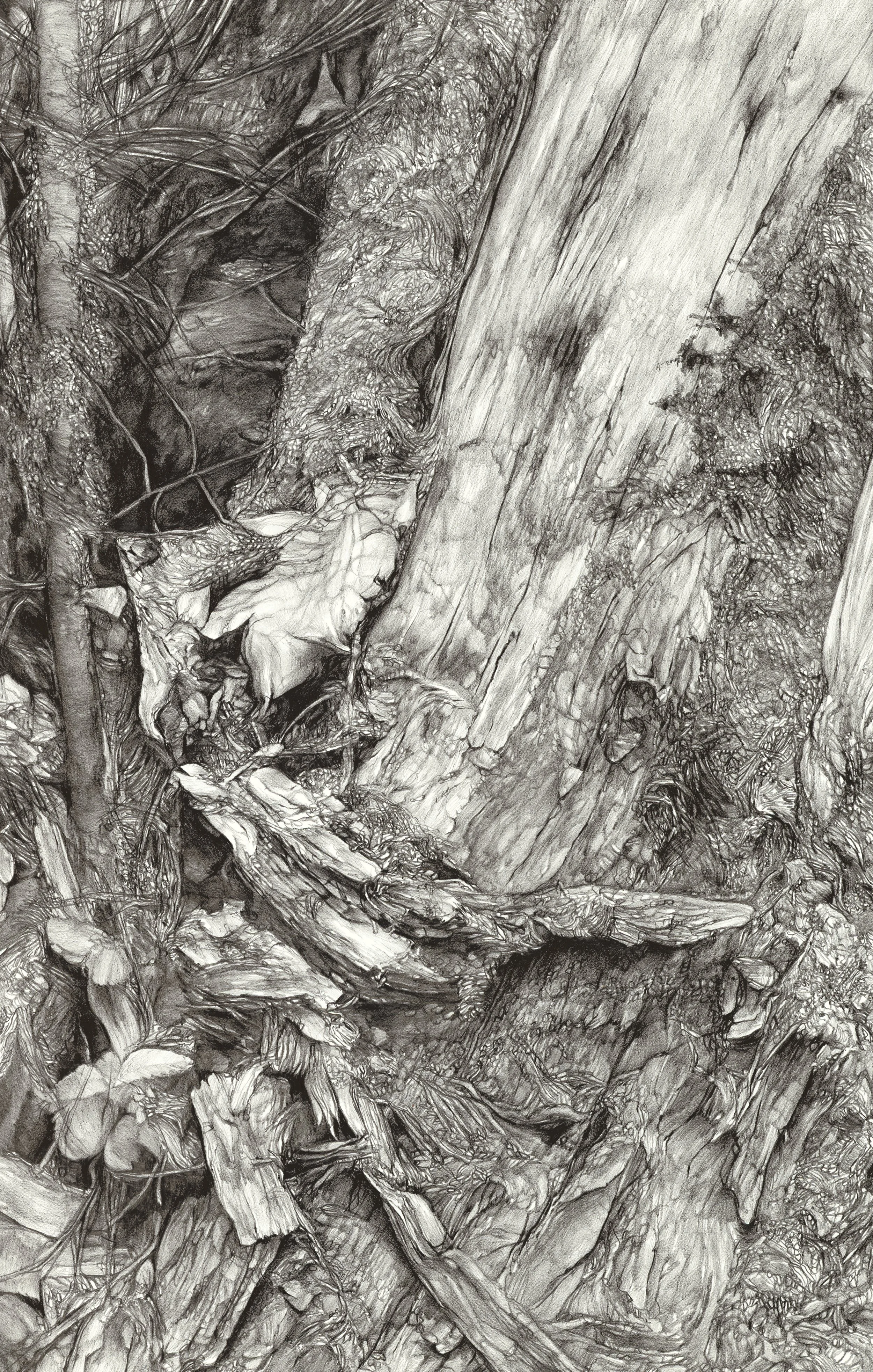 Chaos 1 Fin 14x22 Arch T Ep2 Adobe RGB 1998 copy.jpg