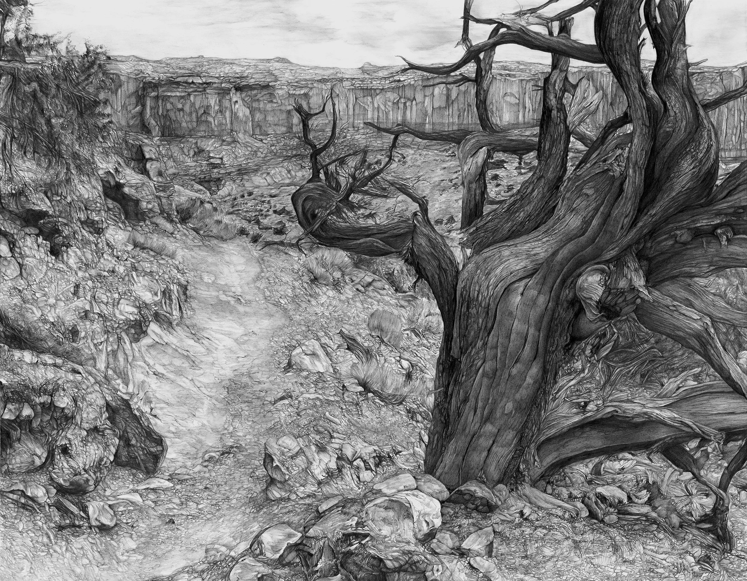 The Path Taken