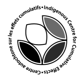 Medicine wheel and the company name, Indigenous Centre for Cumulative Effects 