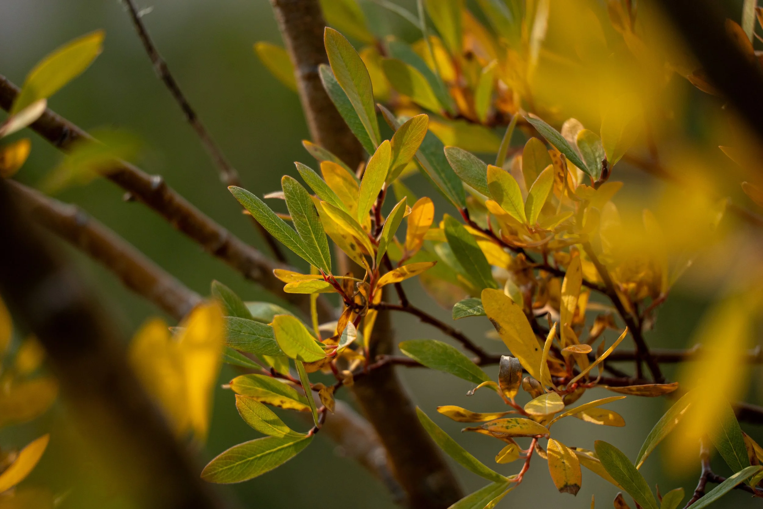 Beyond checkboxes: why reconciliation requires systems thinking