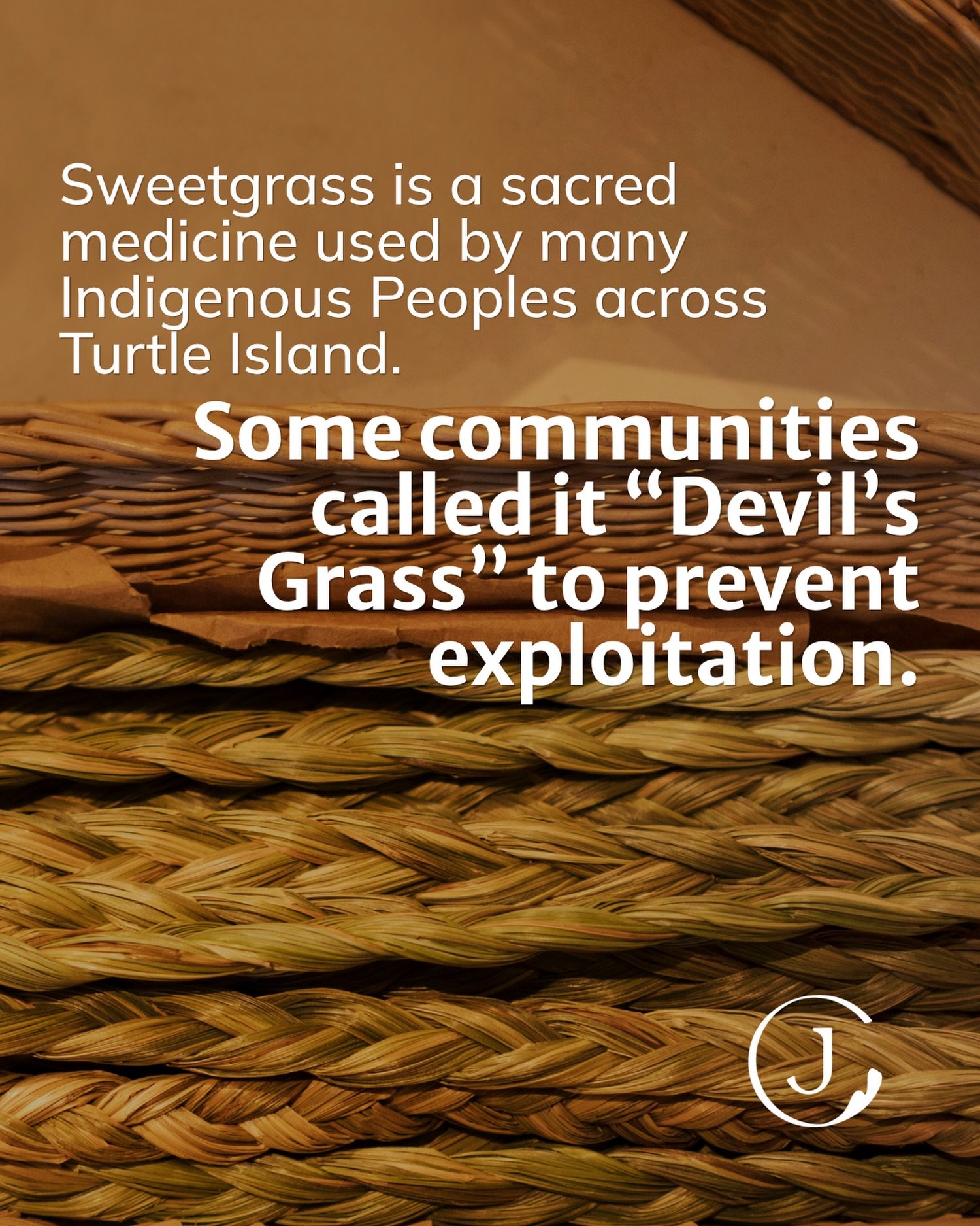 Day 20 of Indigenous History Month!

Today we&rsquo;re highlighting Sweetgrass, a sacred medicine used widely among Indigenous Peoples across Turtle Island for smudging, cleansing, and prayer. Sweetgrass holds deep spiritual and cultural significance