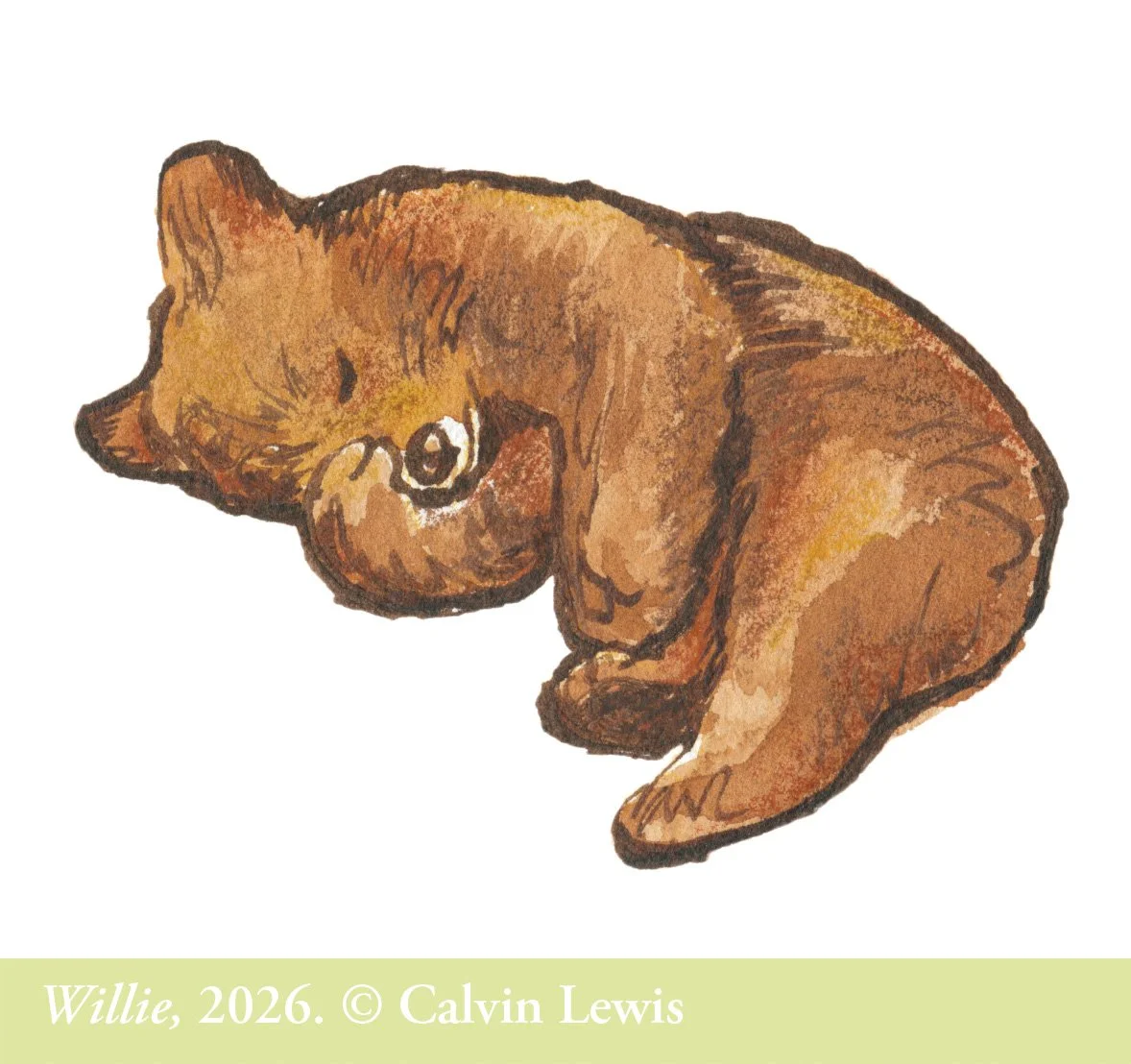 Willie w. copyright.jpg