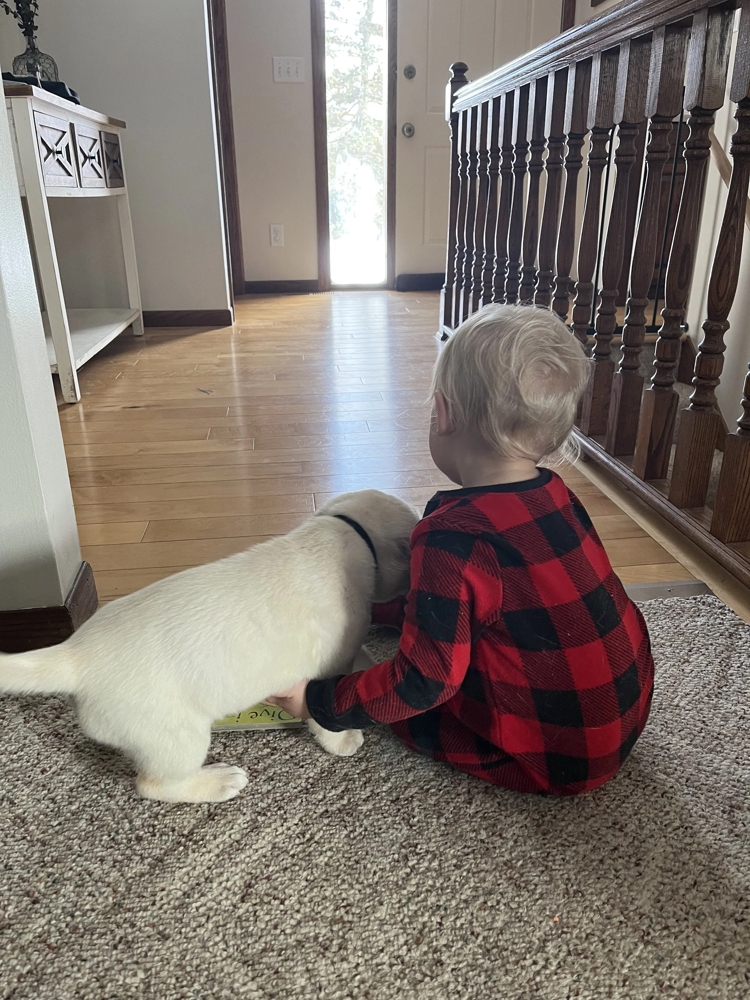 IMG_2604 (2).jpeg