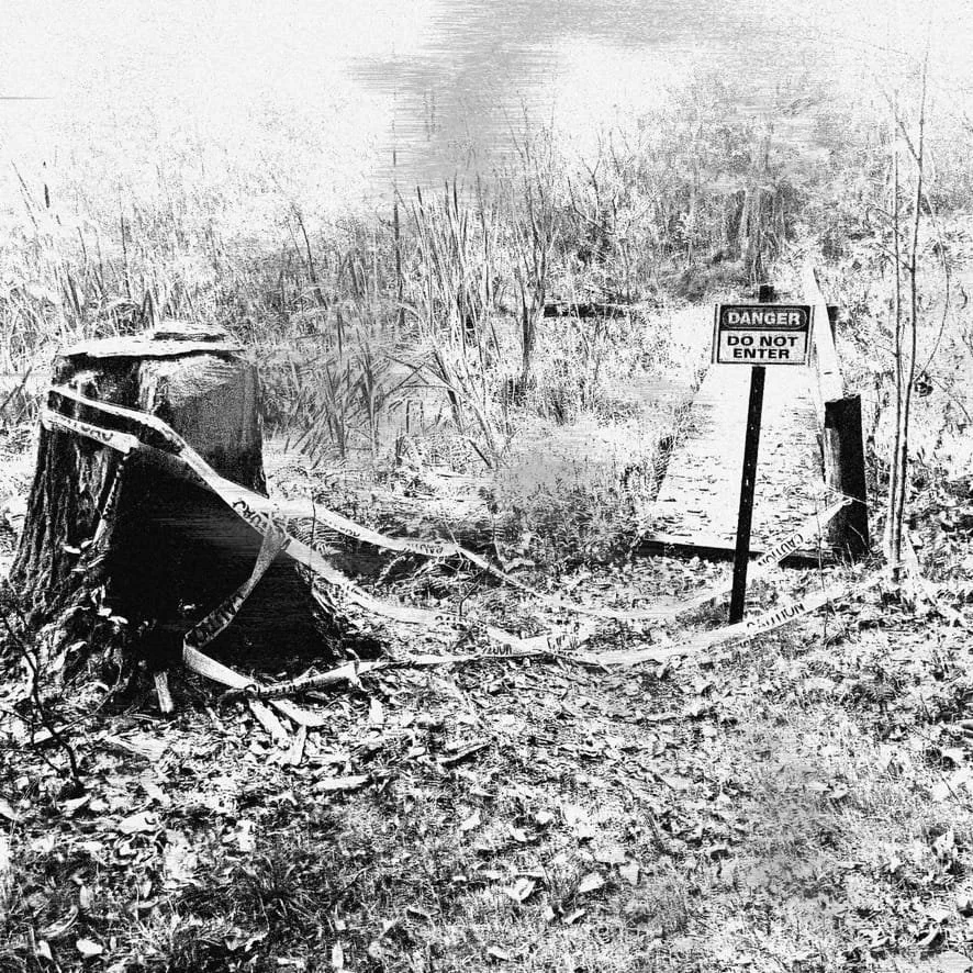 A damaged tree stump surrounded by caution tape, with a narrow wooden bridge leading to a sign that reads 'DANGER DO NOT ENTER'. The scene is in a natural, marshy area with tall grass and reeds. Album Cover