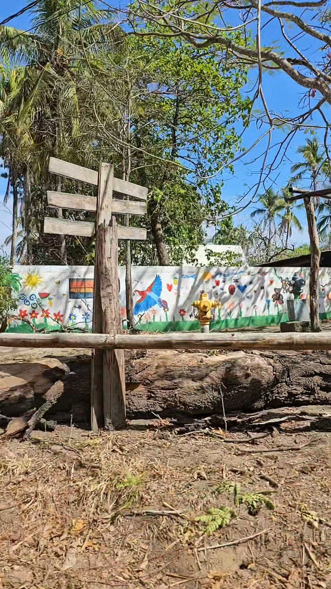 Why we moved to Costa Rica, Part 4: The traumatic childhood.