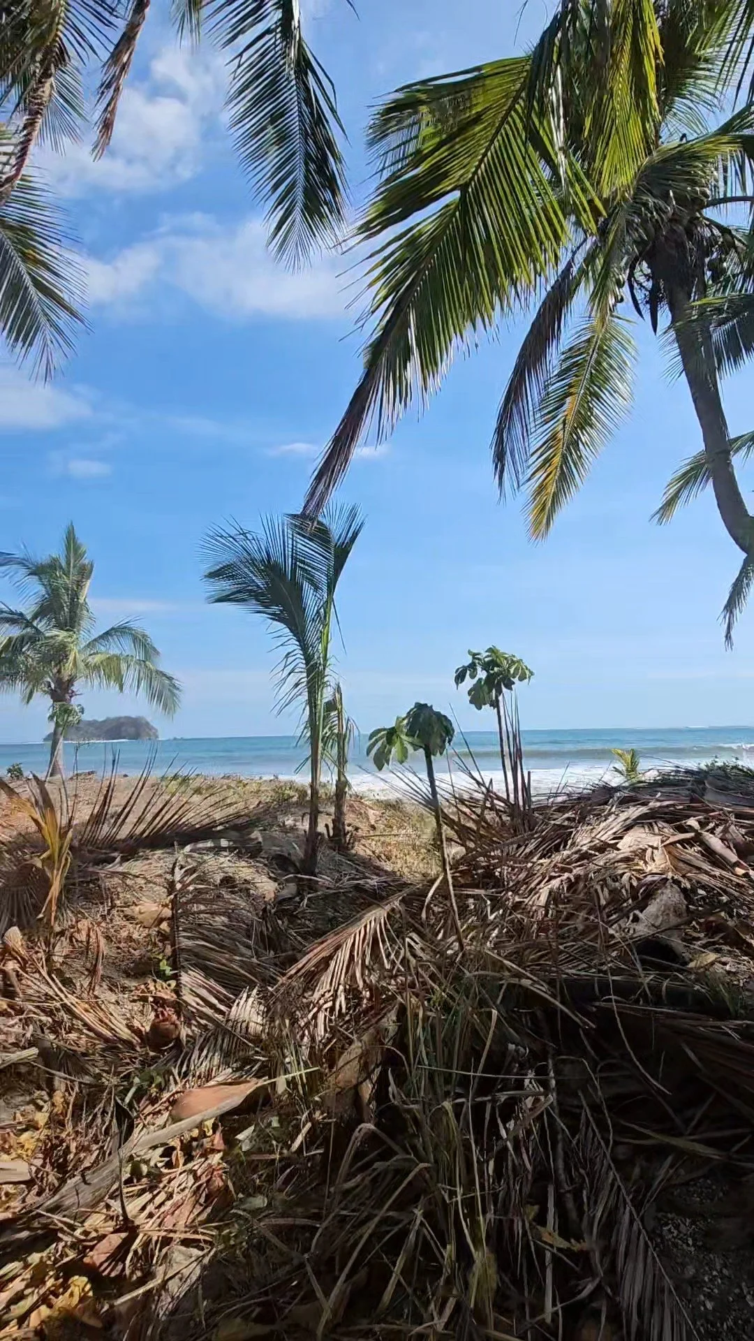 Why we moved to Costa Rica, Part 5: The alcoholic parent.