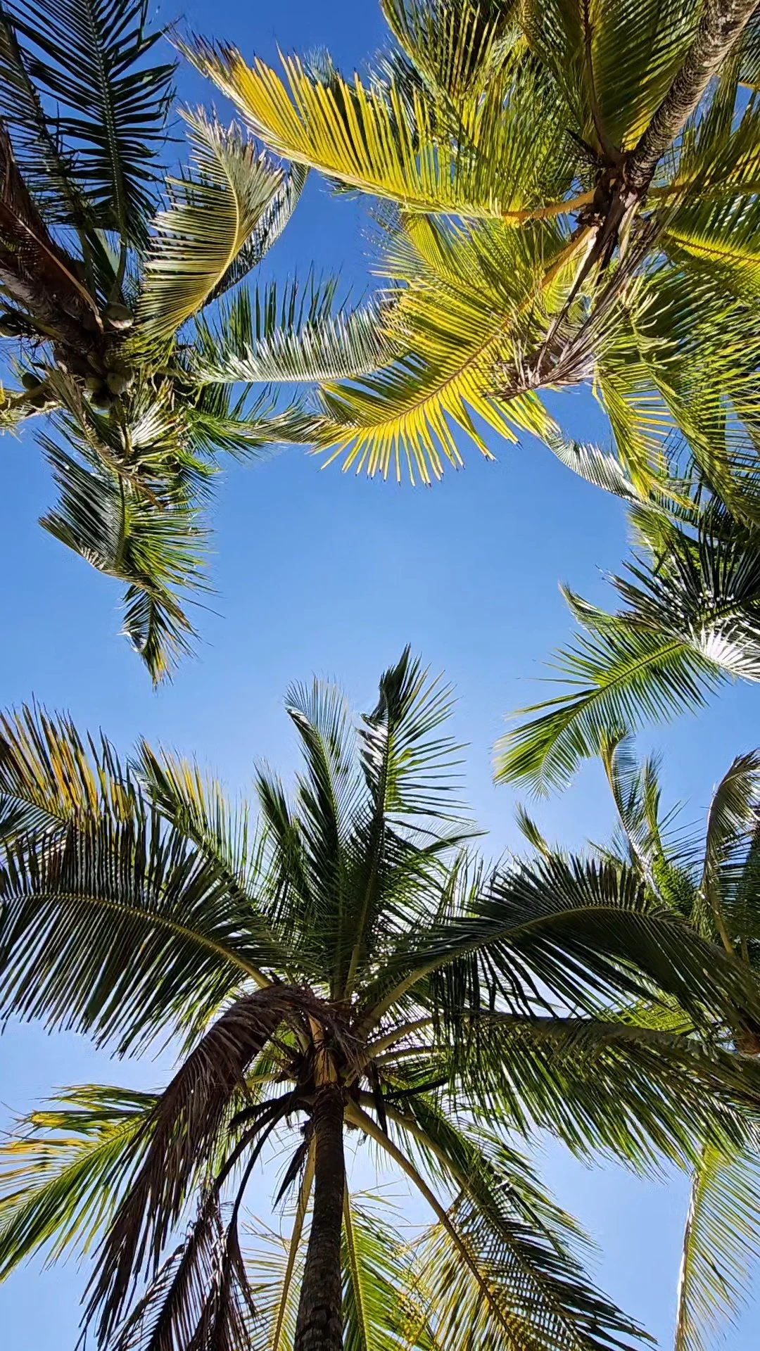 Why we moved to Costa Rica, Part 8: I trip and fall into the world of energy healing.