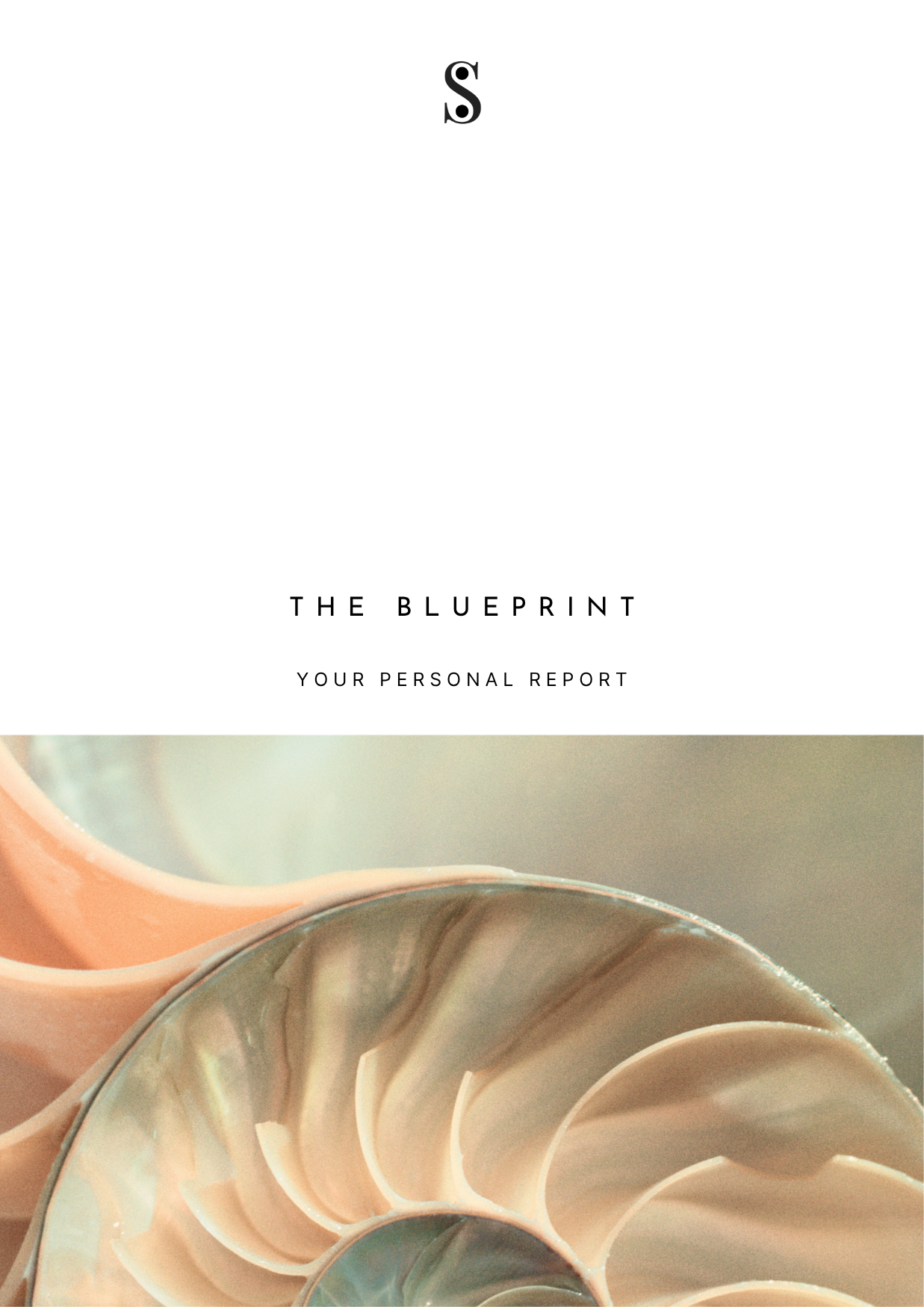 The Blueprint Report