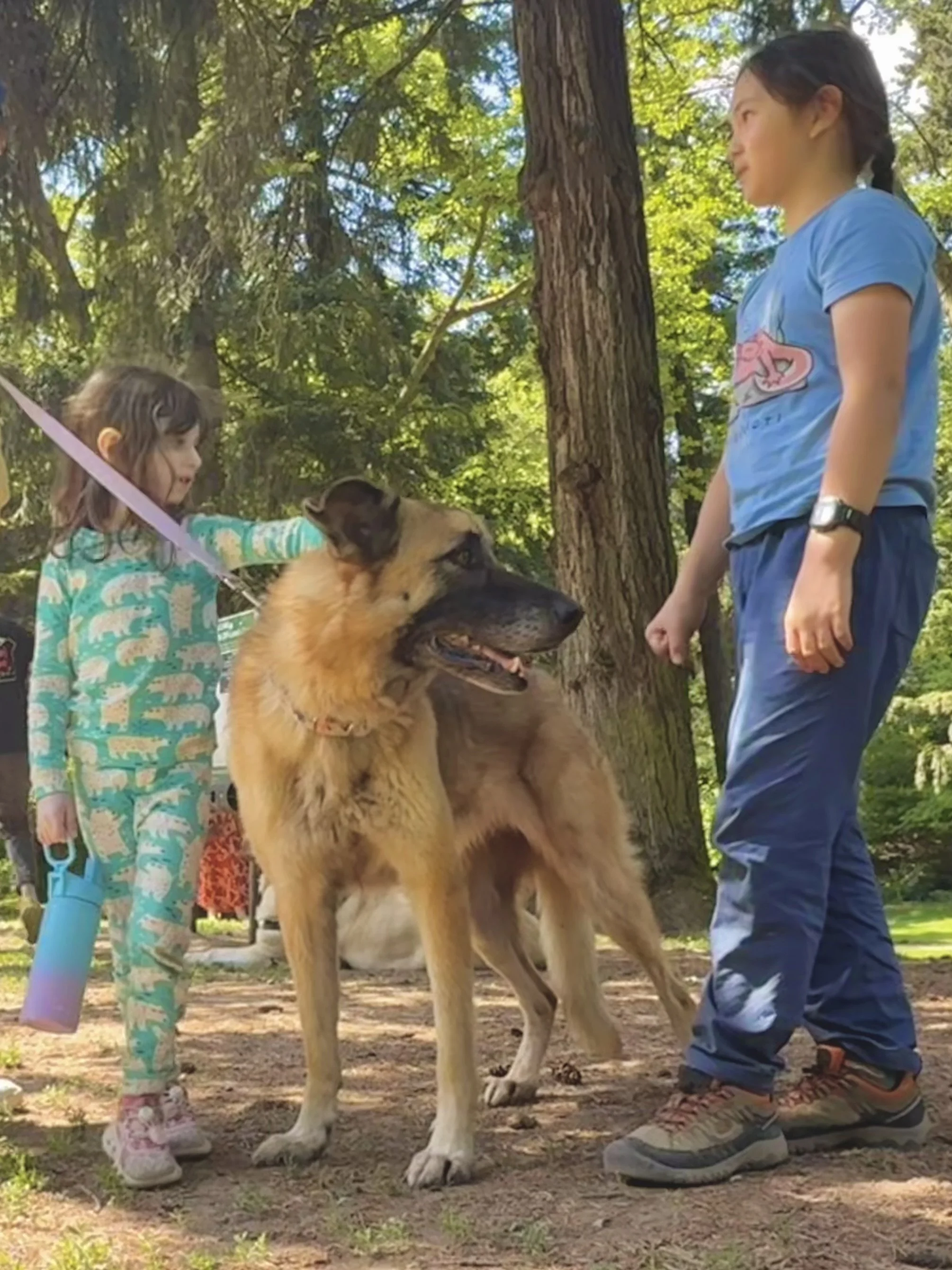 The learners were excited to get the opportunity to meet Kai's German shepherd, Lola