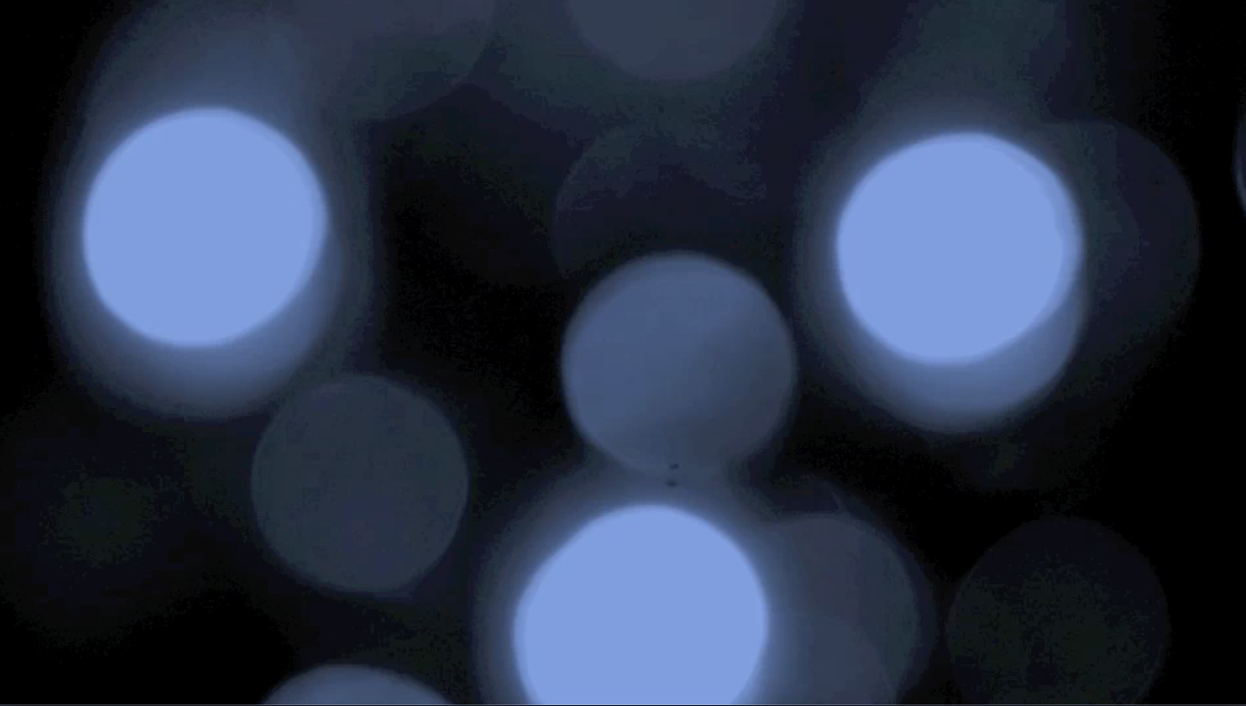 ARCHITECTURE AFTER DARK