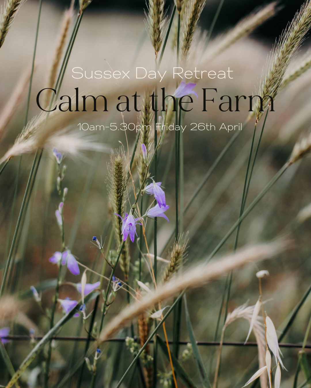 Calm at the Farm, Sussex Day Retreat 