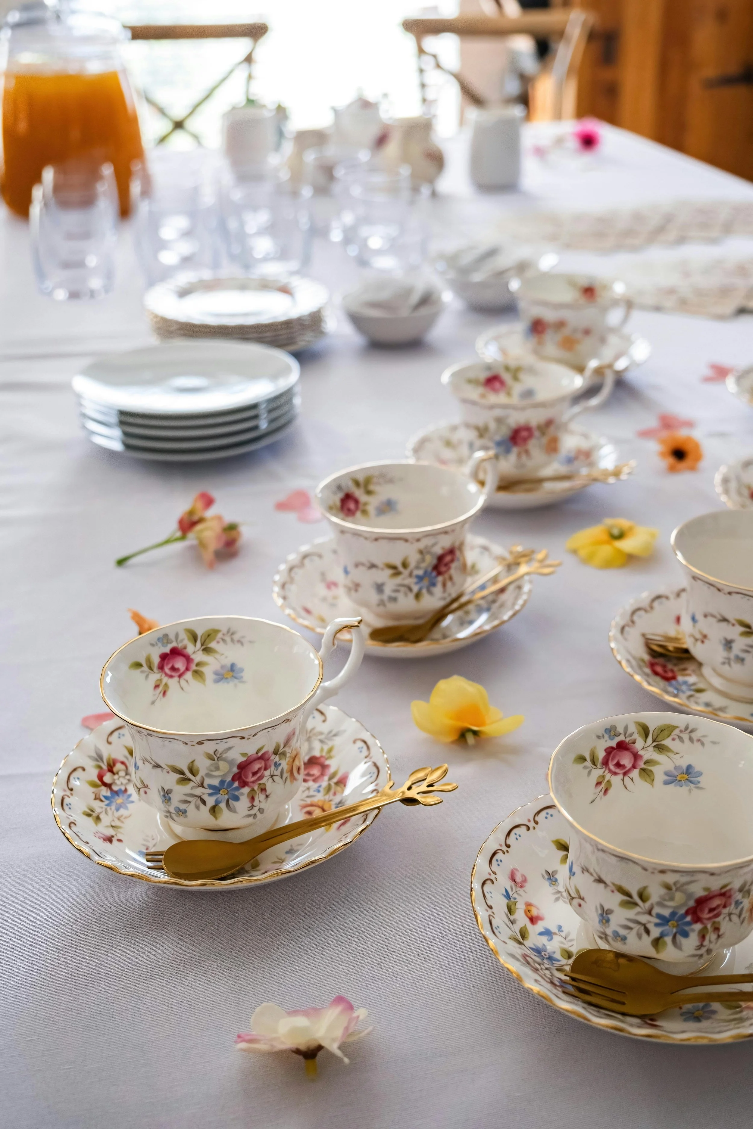 pexels-csbstudioza-34788237 2.jpg