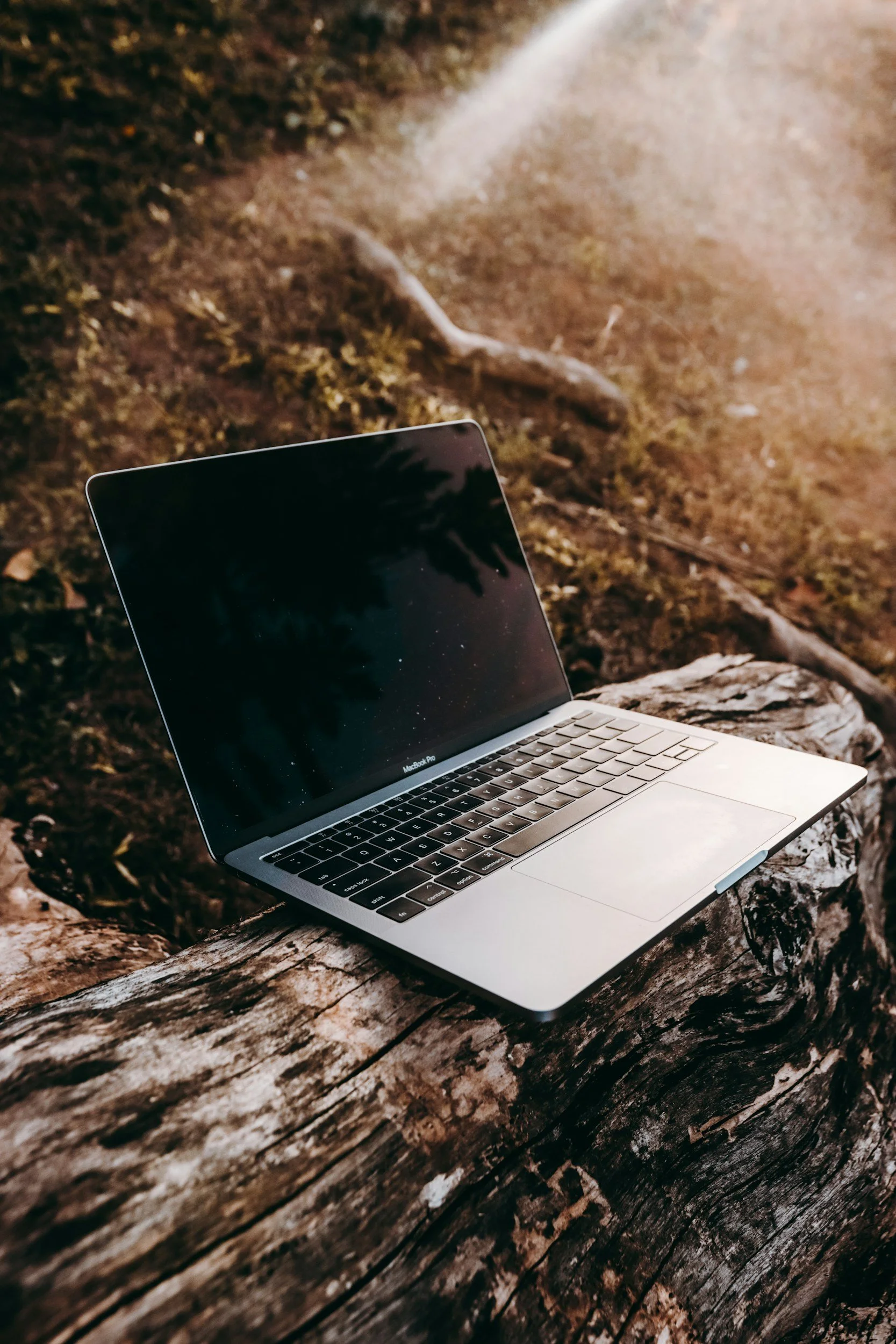 A macbook on a log ready for virtual occupational therapy in Jesmond British Columbia