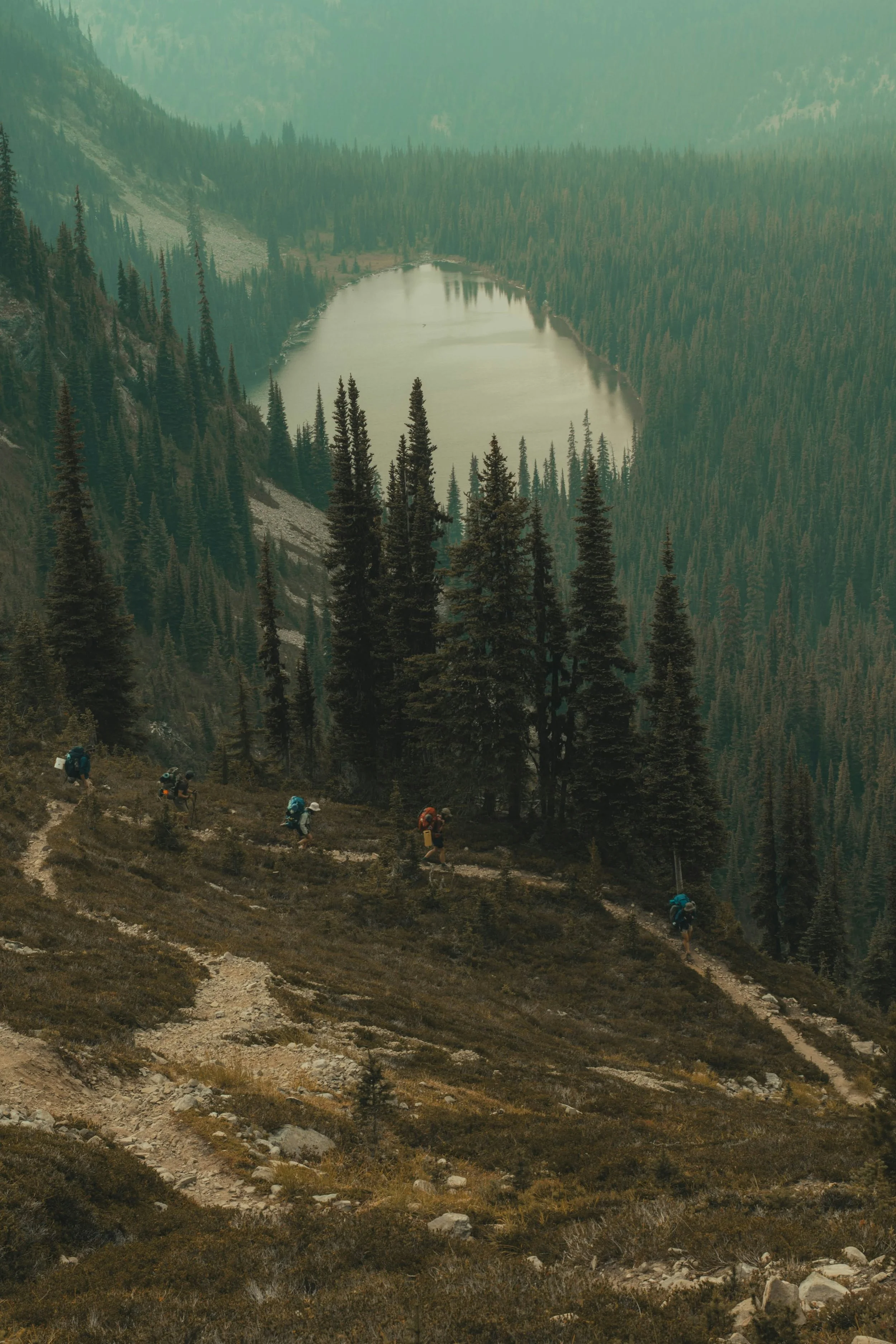 4 hikers during an occupational therapy for trauma walk in a British Columbia forest