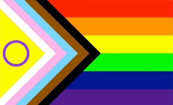 Progressive pride flag for queer-friendly occupational therapists in British Columbia
