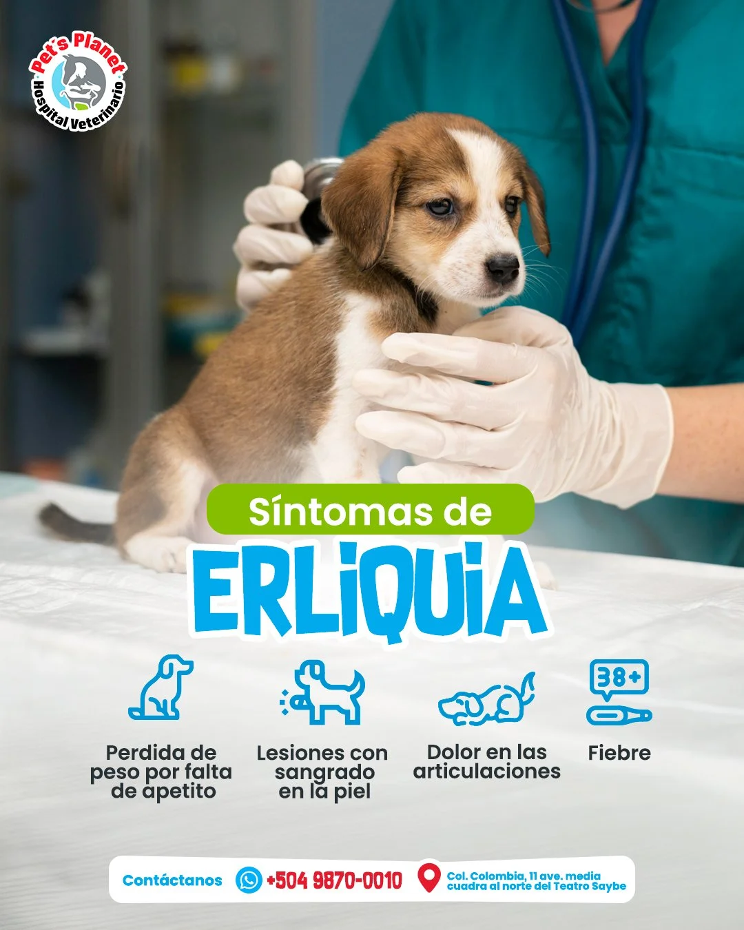 Post 1- Sintomas Erliquia.jpg