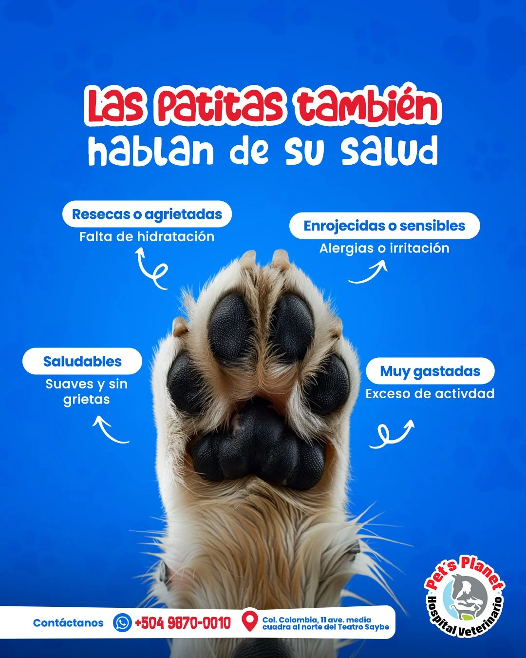 Post 3- Patitas salud.jpg
