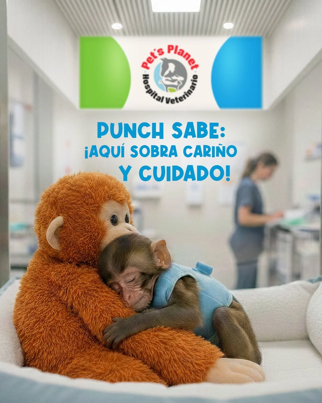 Post monito.jpg