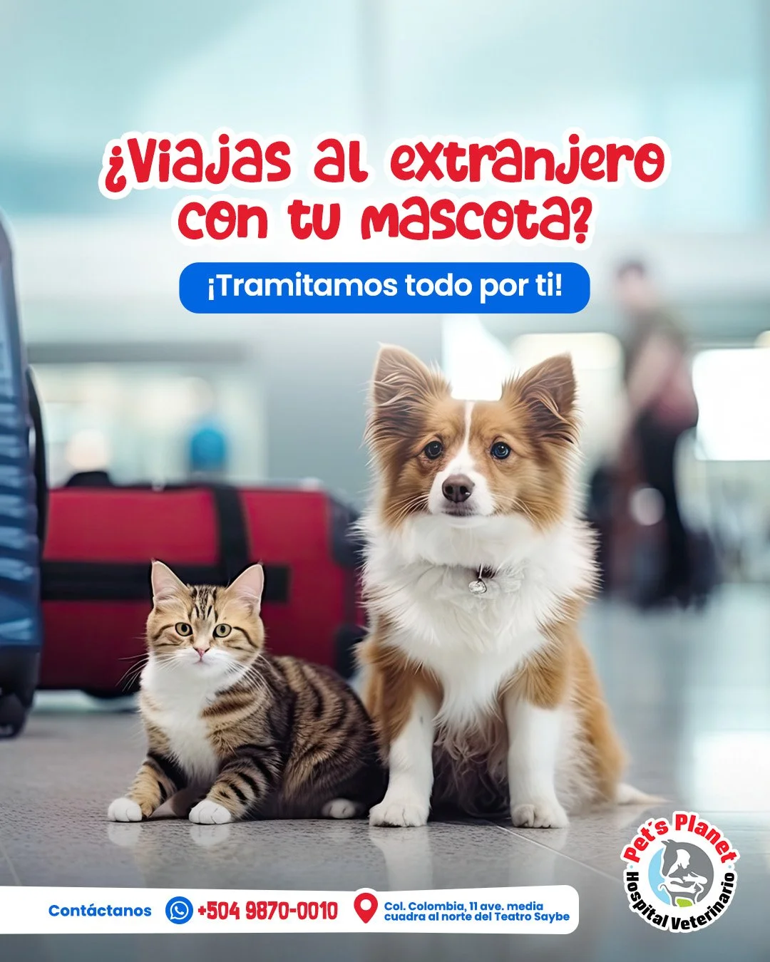 Post 4- tramites viajes.jpg