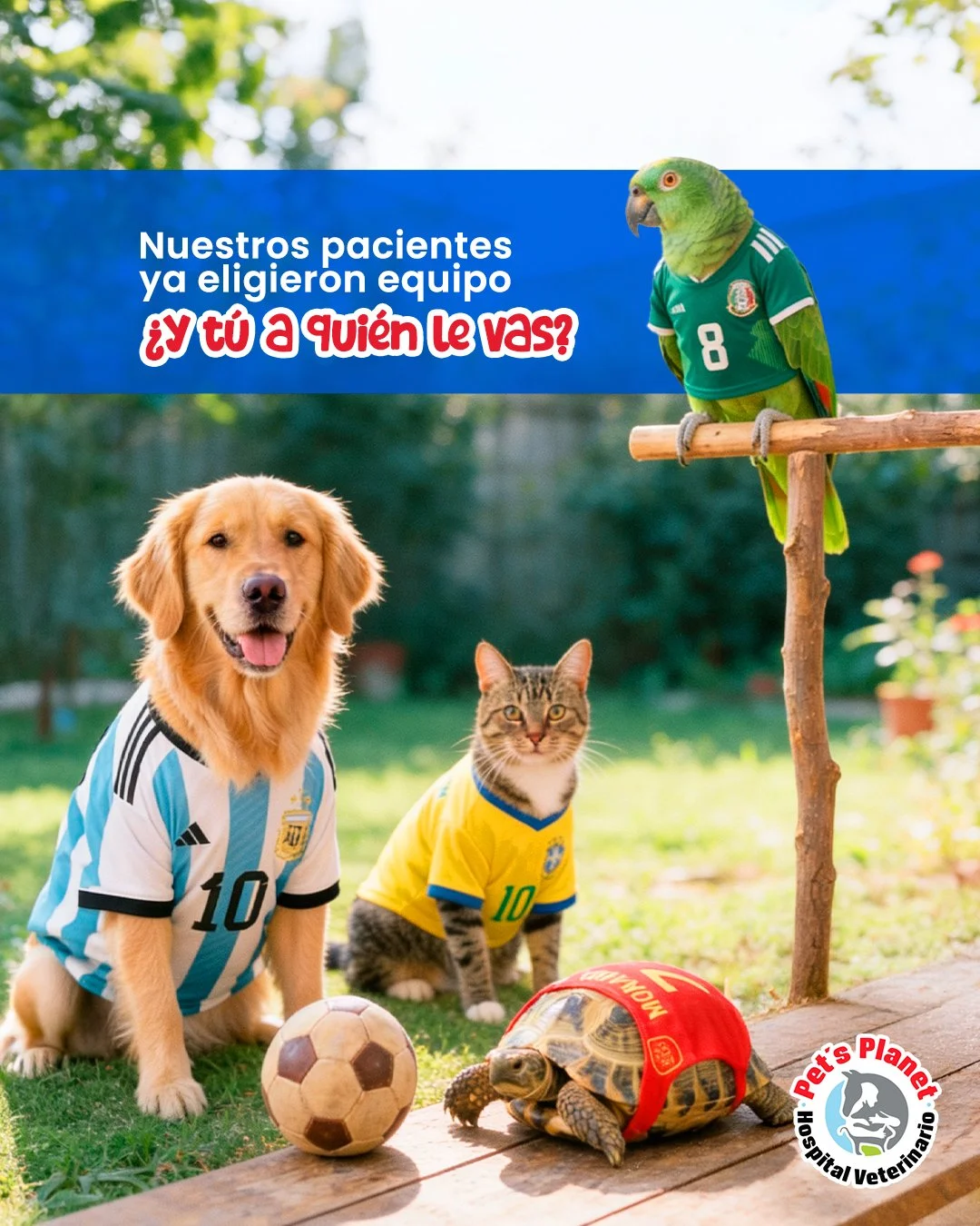 Post 6- mode mundial.jpg