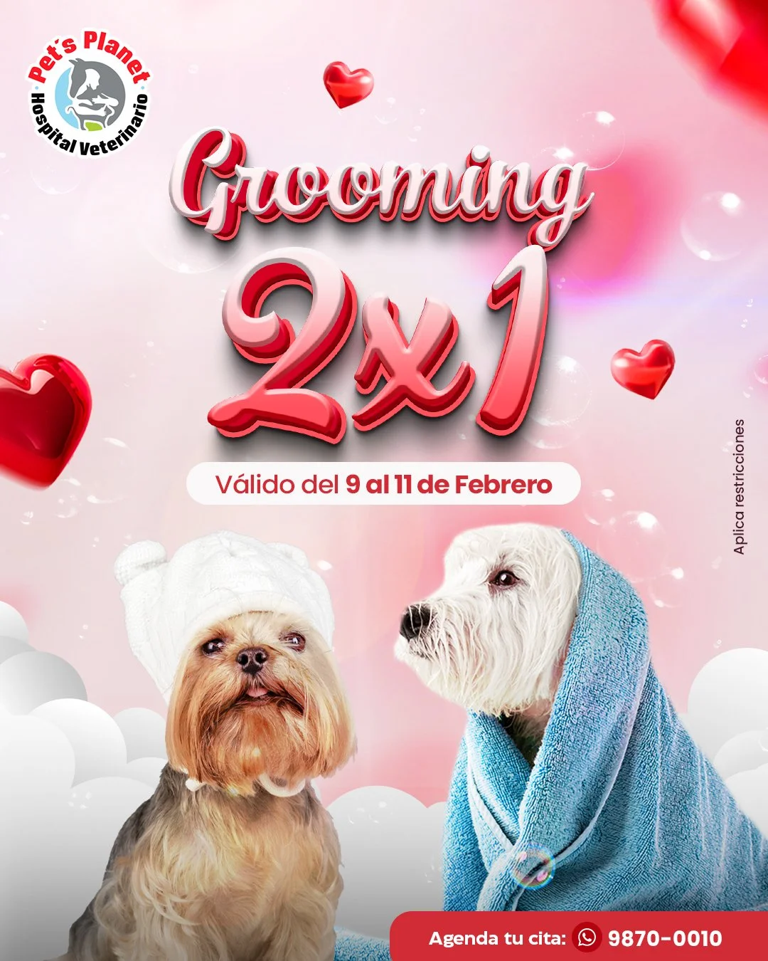 Promo Grooming.jpg