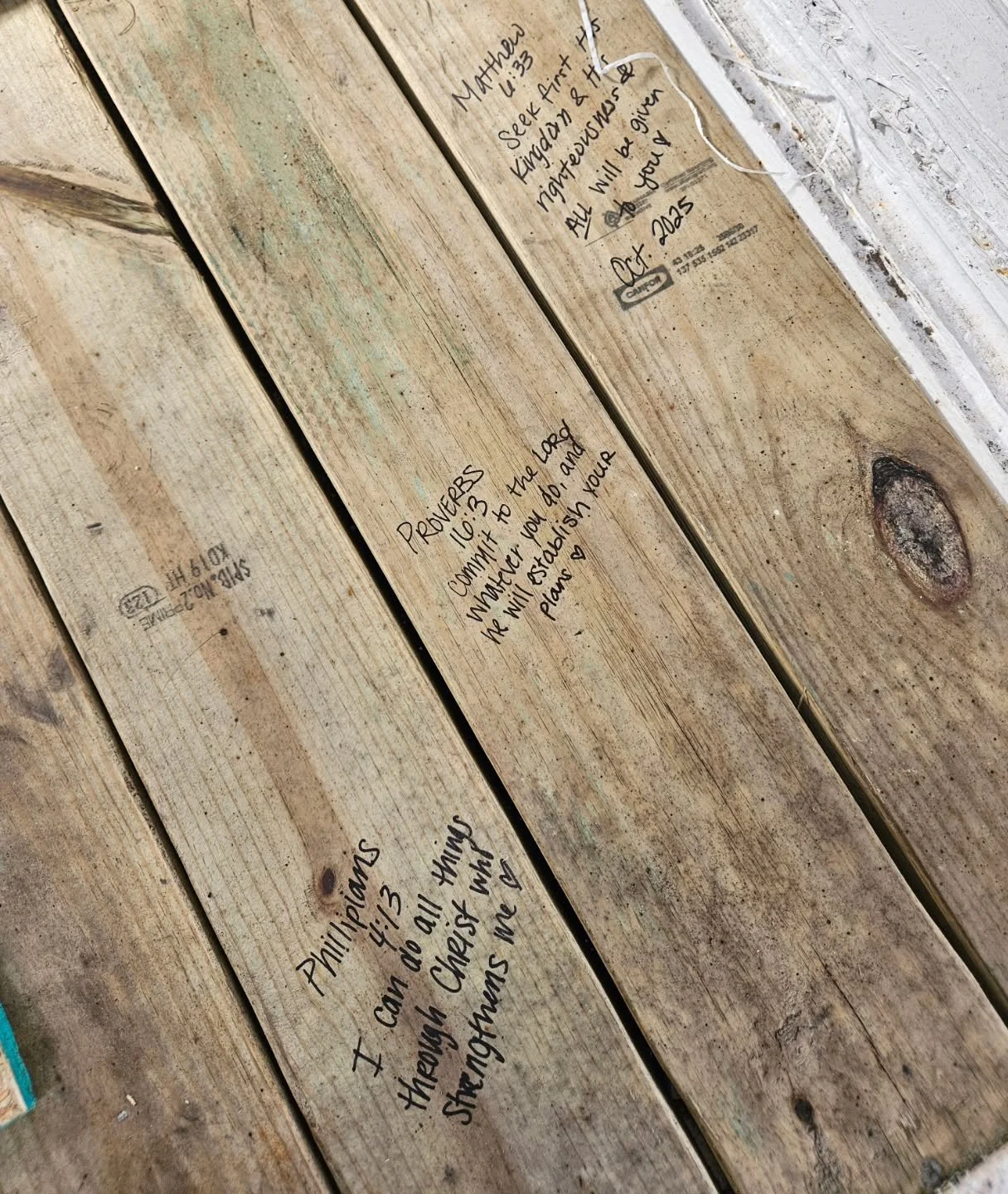 Prayed over this business more times than I can count. Now it's going into our Horse Trailer Transformation. ❤️❤️