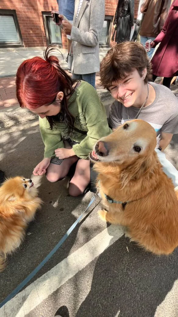 A young woman with red hair and a young man with brown hair are smiling and petting two small dogs, a Chihuahua and a Dachshund, on a sidewalk outdoors. The woman is crouched down, and the man is standing behind her. There are other people in the background, some holding drinks, and a brick building is visible.