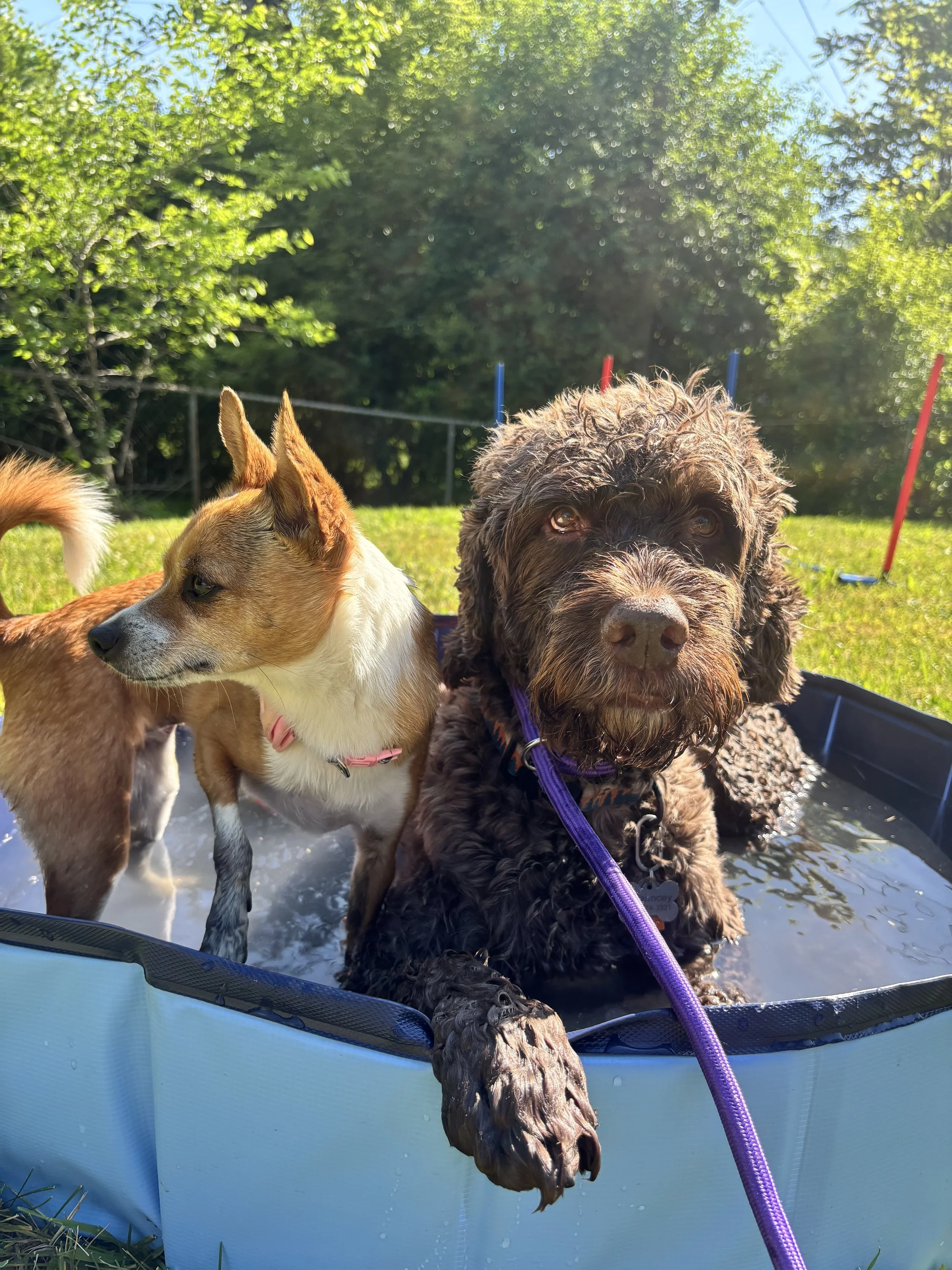 Daycare