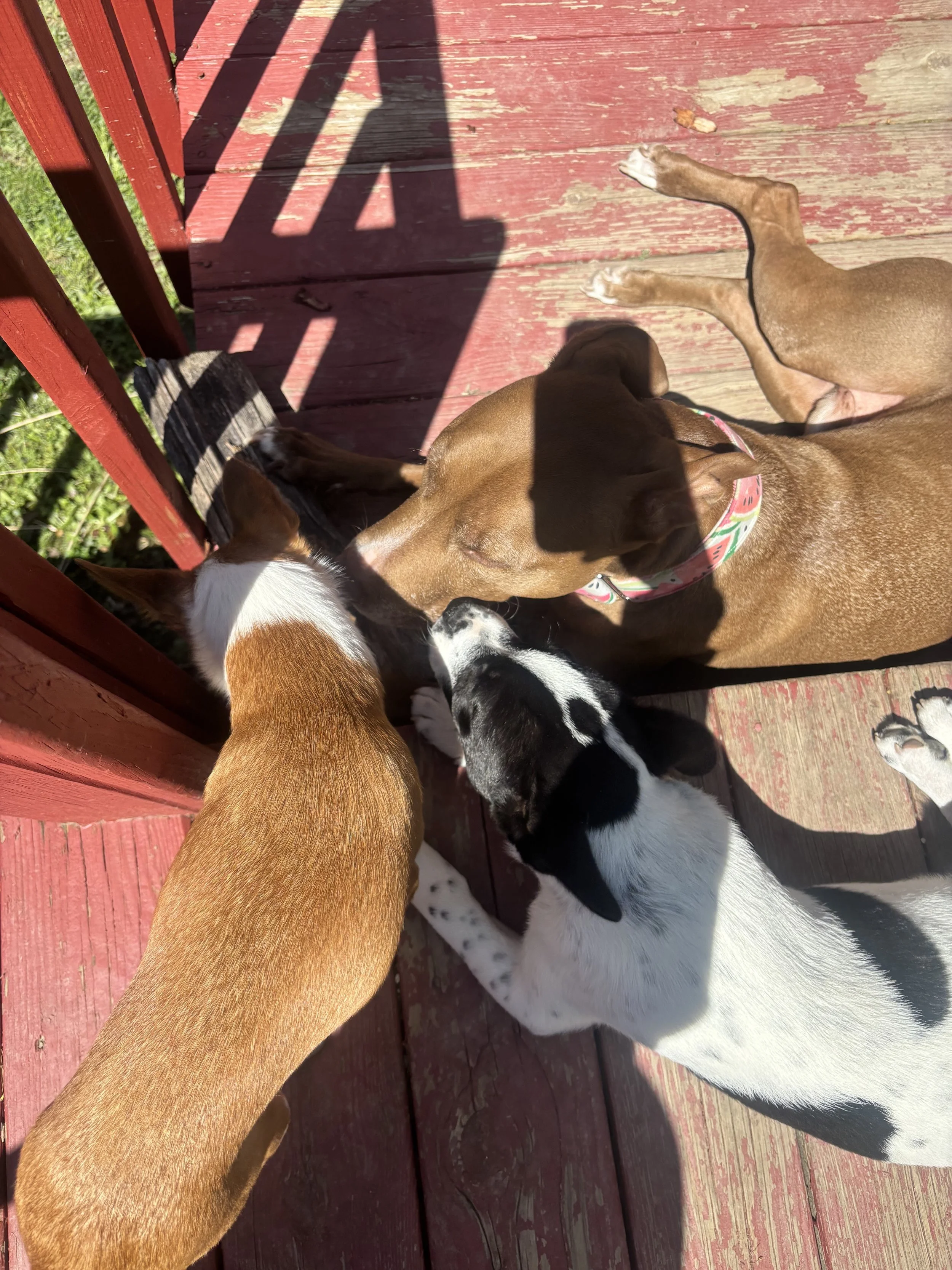 Daycare
