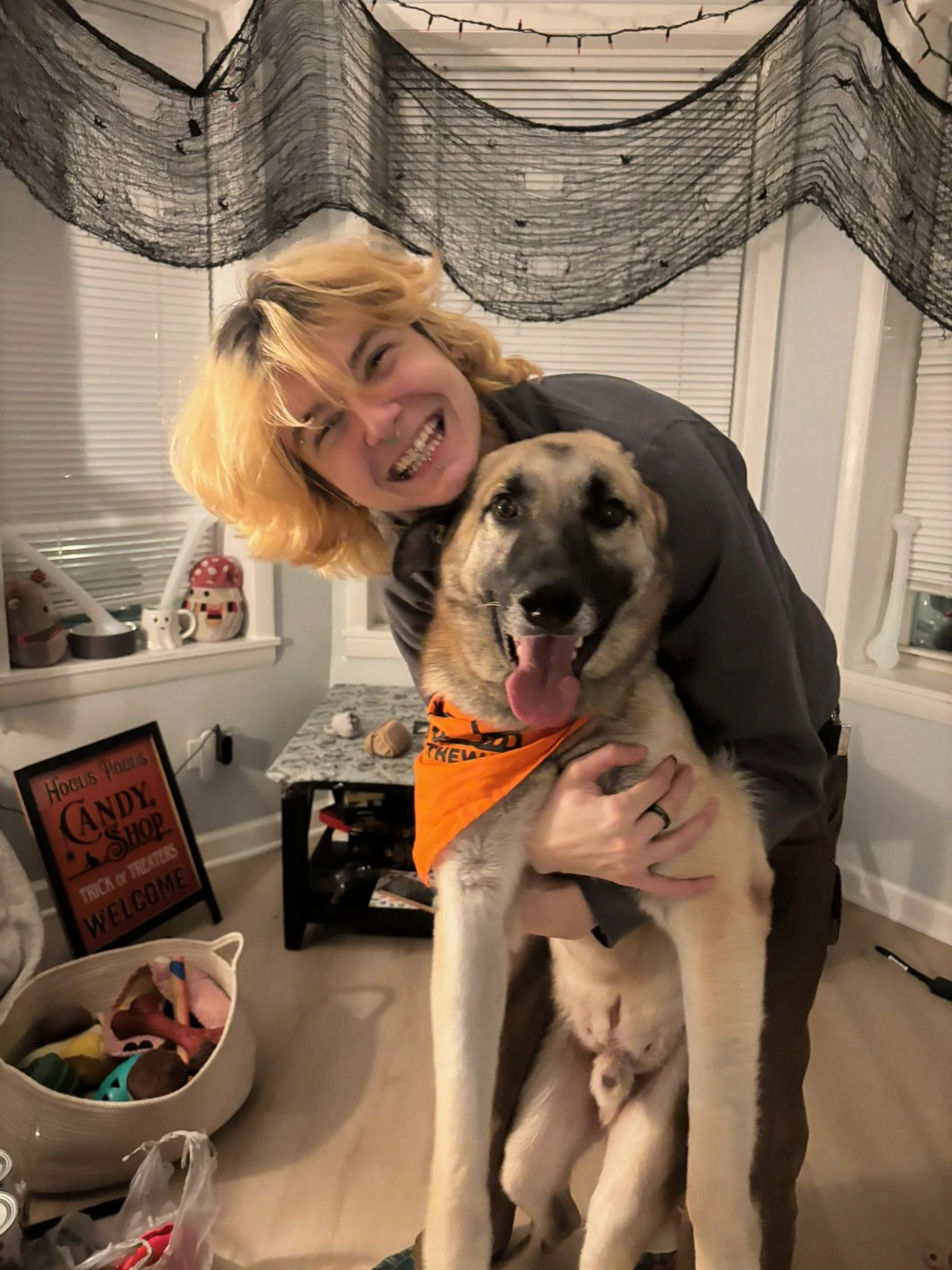 A person with blond hair and a big smile hugging a large happy dog with a bandana in a cozy living room.