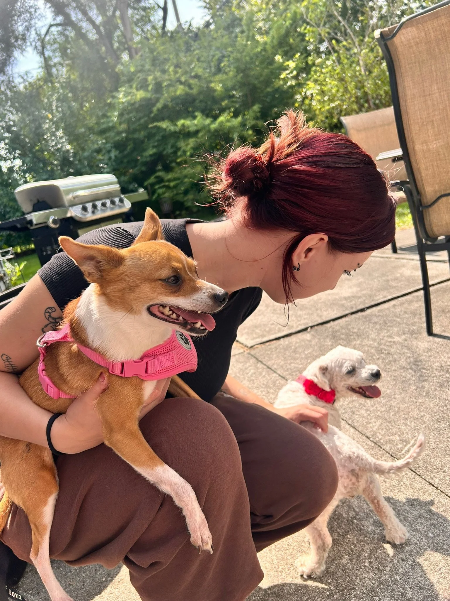 A woman with red hair in a bun, sitting outside on a concrete patio, holding a small brown dog with a pink harness, and sitting next to a white dog with brown spots wearing a red bandana, with a grill in the background and trees around.