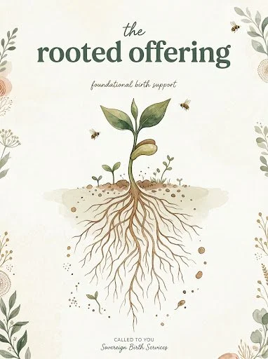 The Rooted Offering