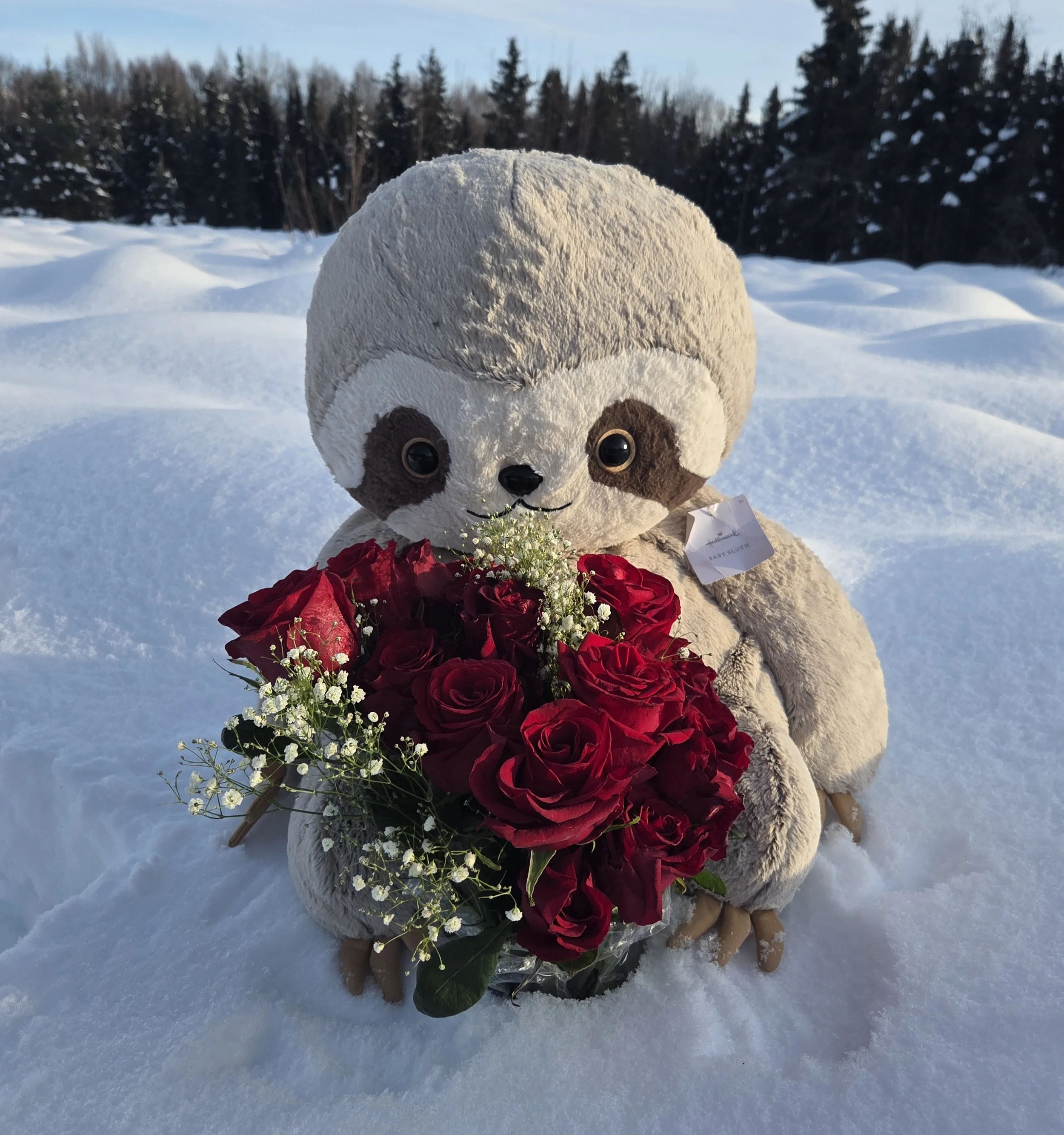 Sloth Rose Ceremony